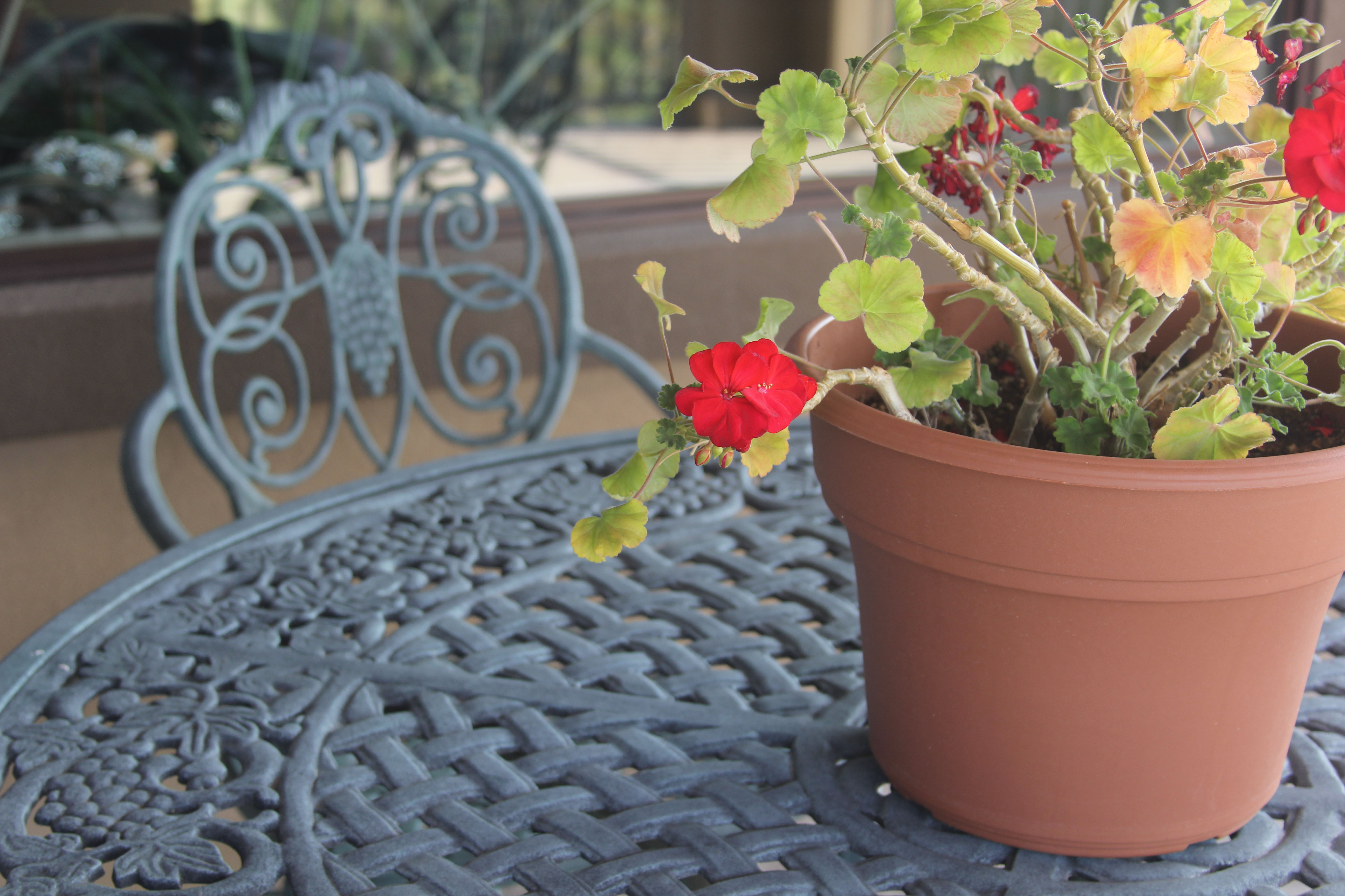 "Cast Classics" Patio Table, Side Table, and Chairs by Landgrave