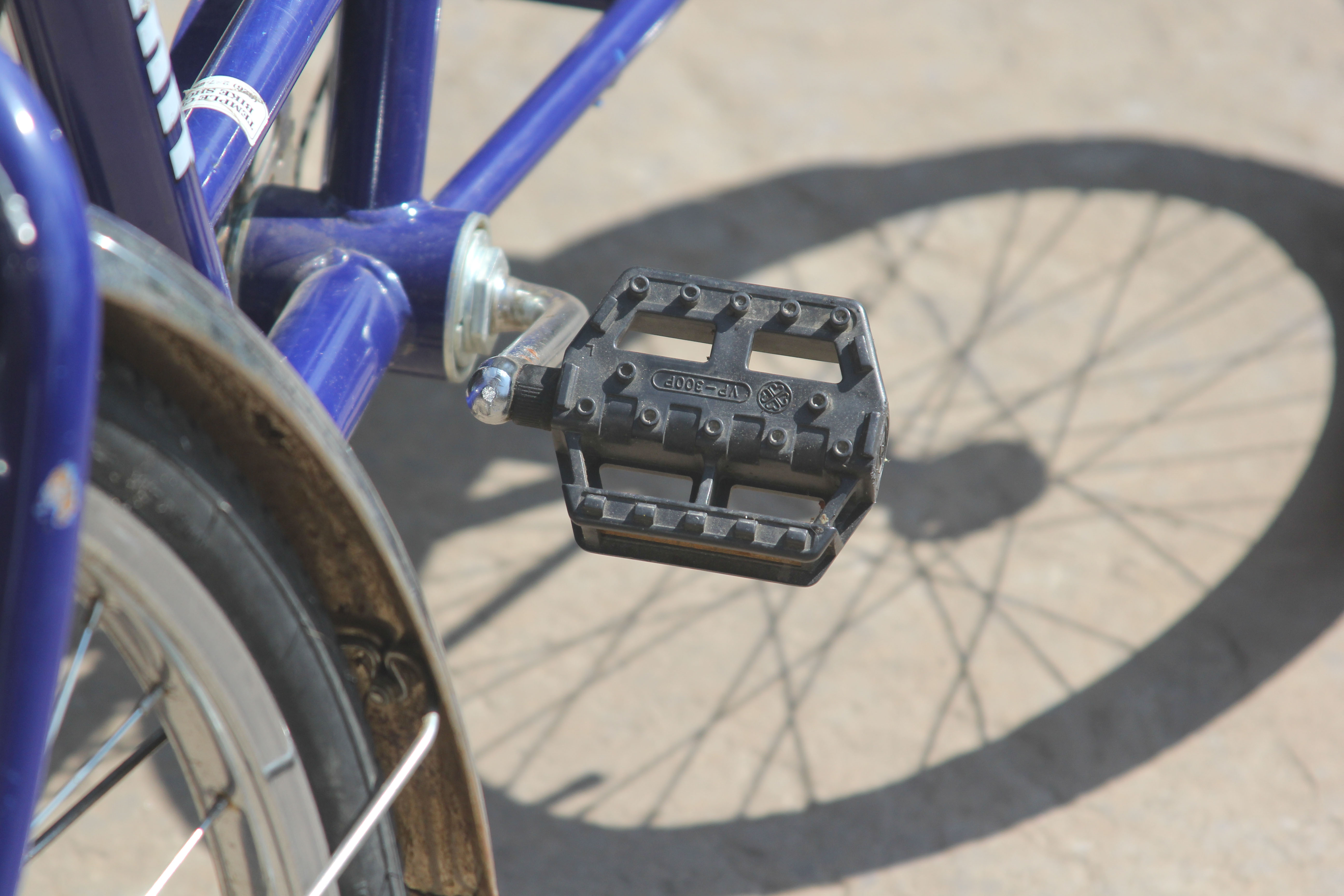 Summit Adult Tricycle