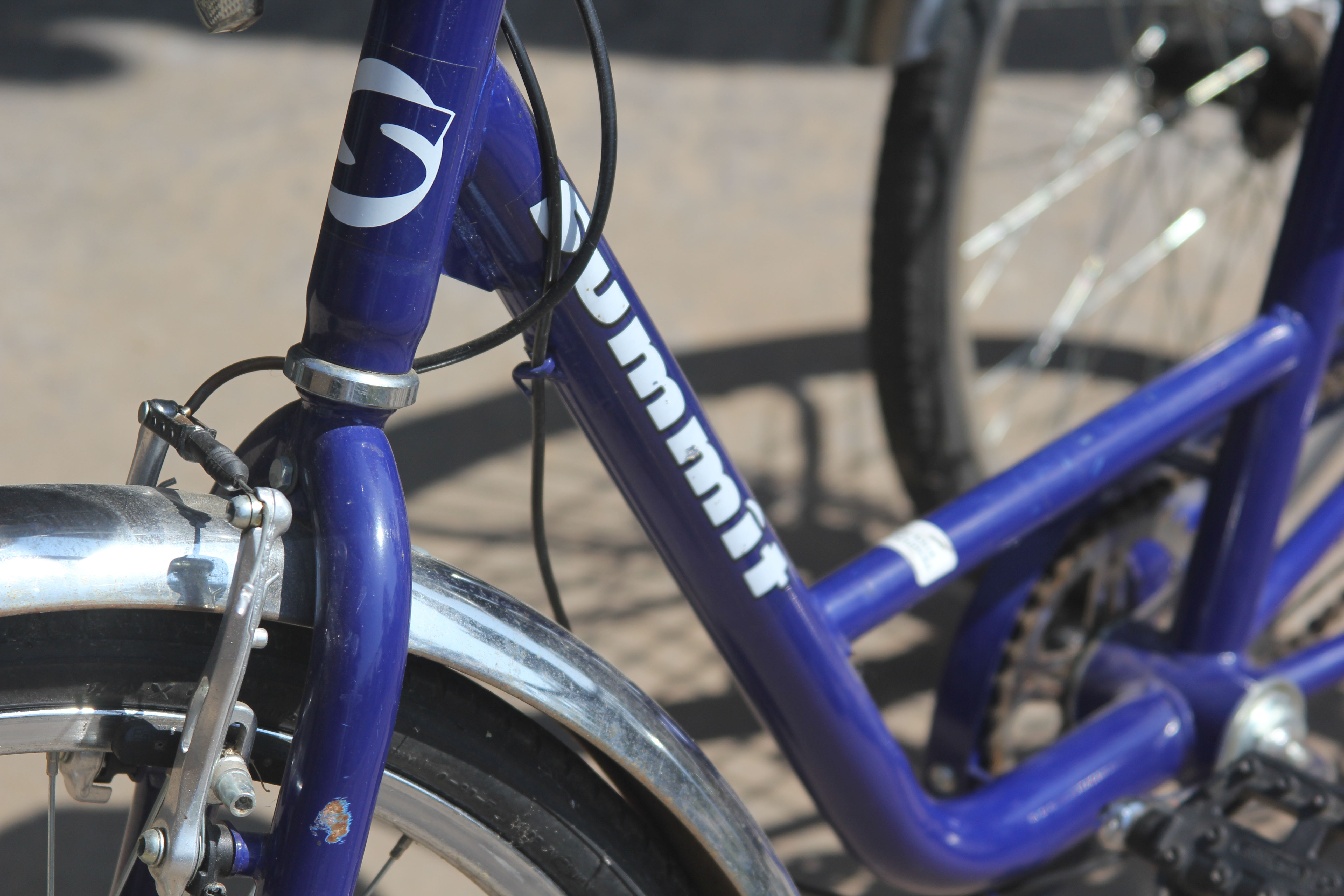 Summit Adult Tricycle