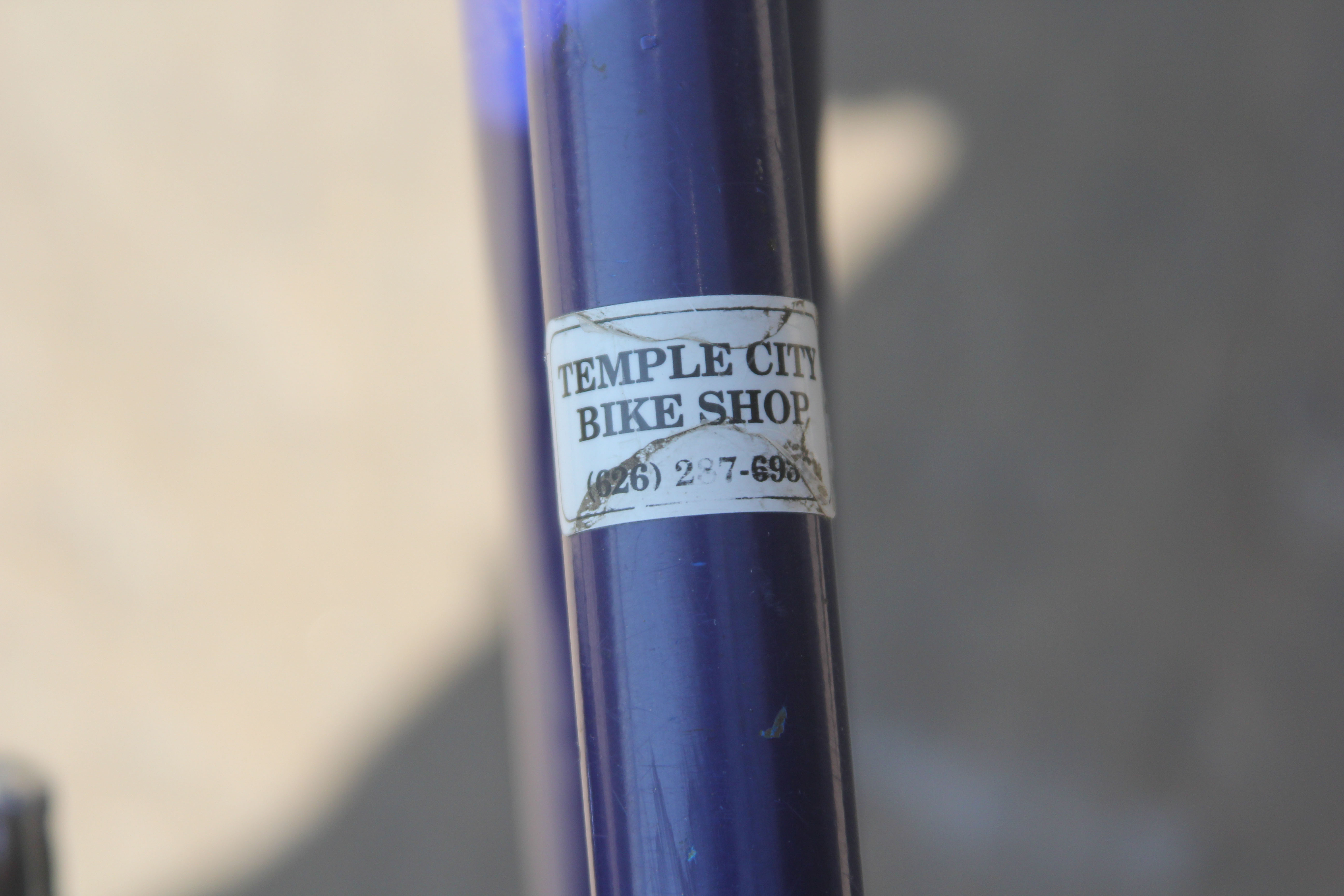 Summit Adult Tricycle