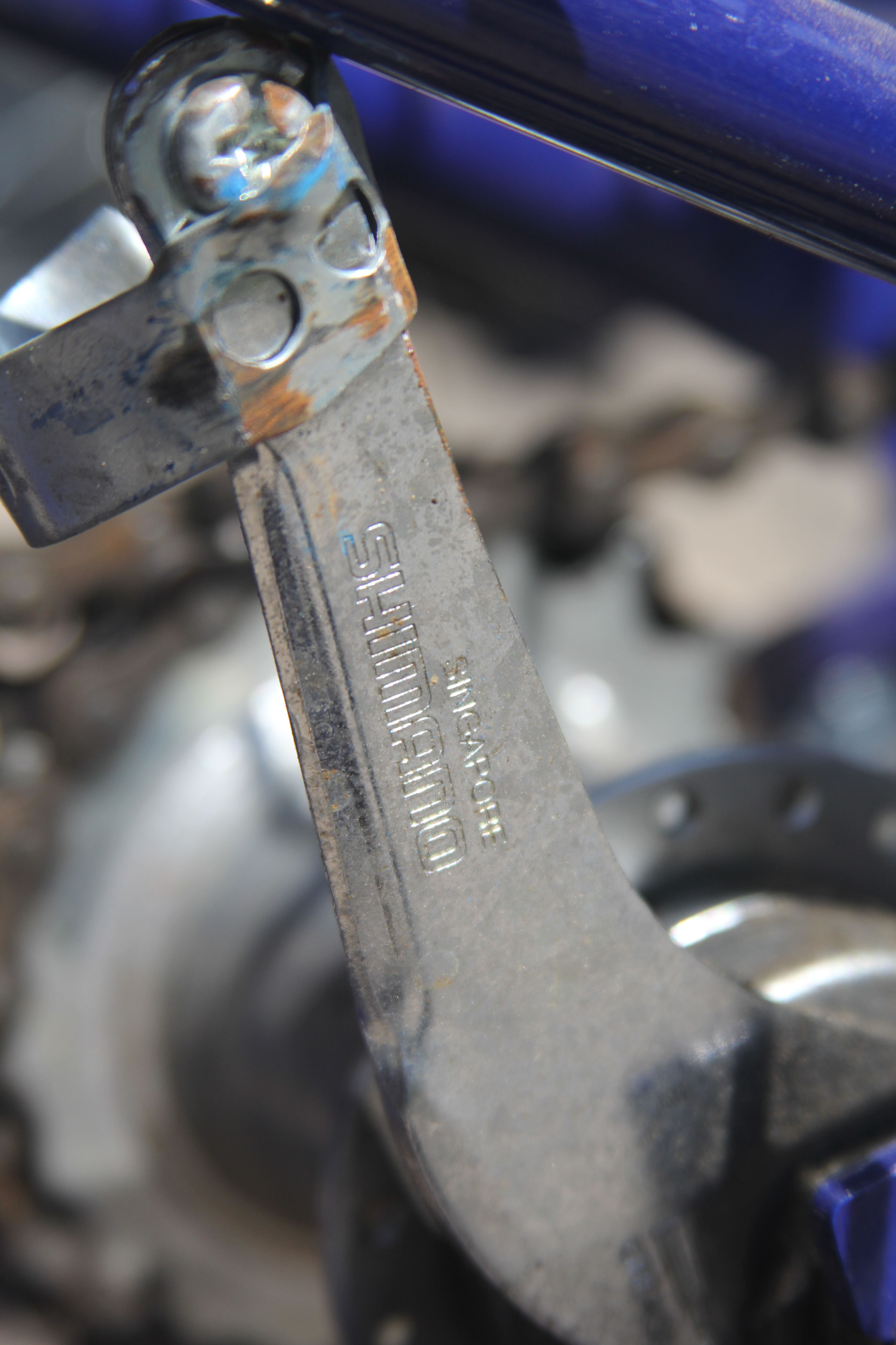 Summit Adult Tricycle