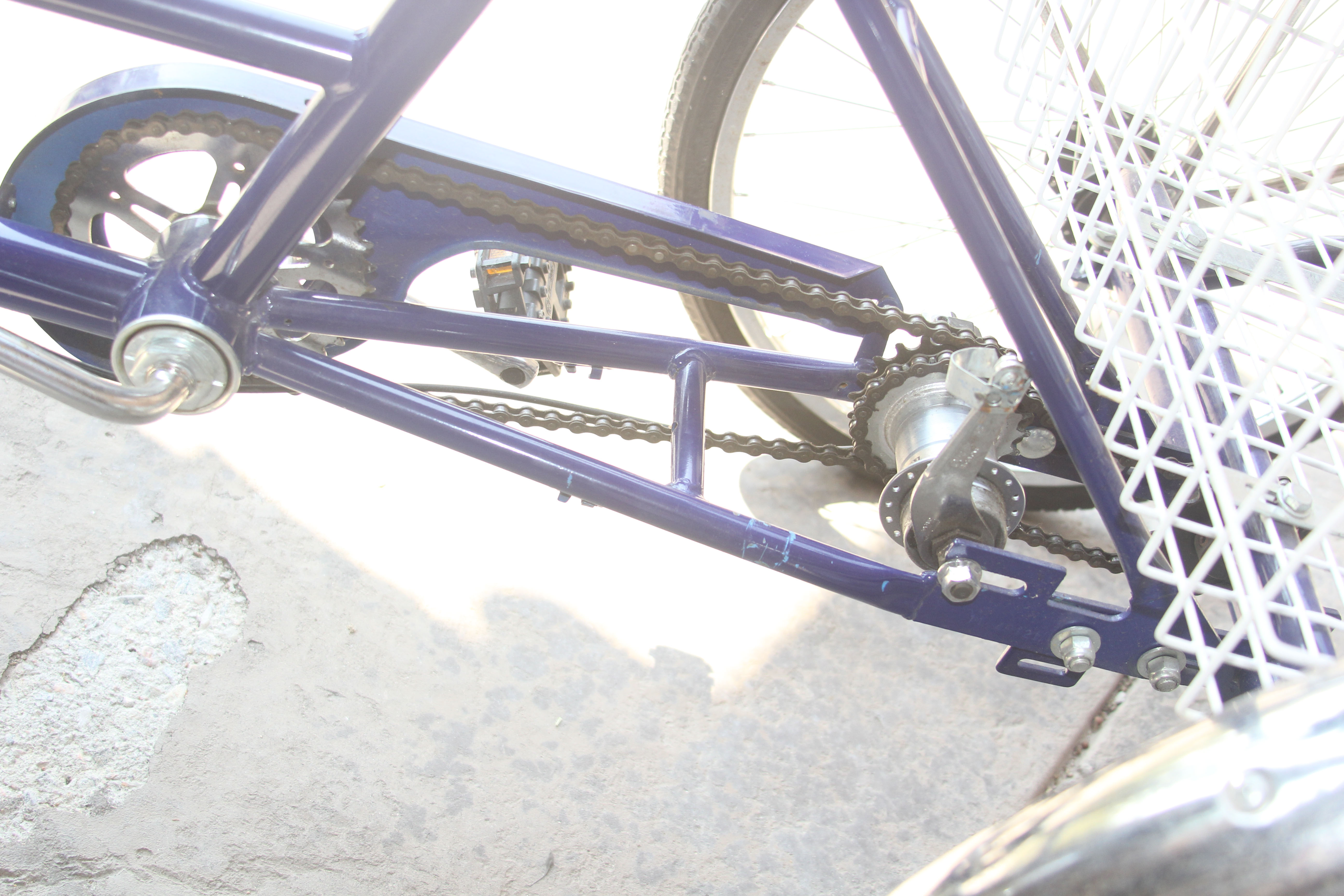 Summit Adult Tricycle