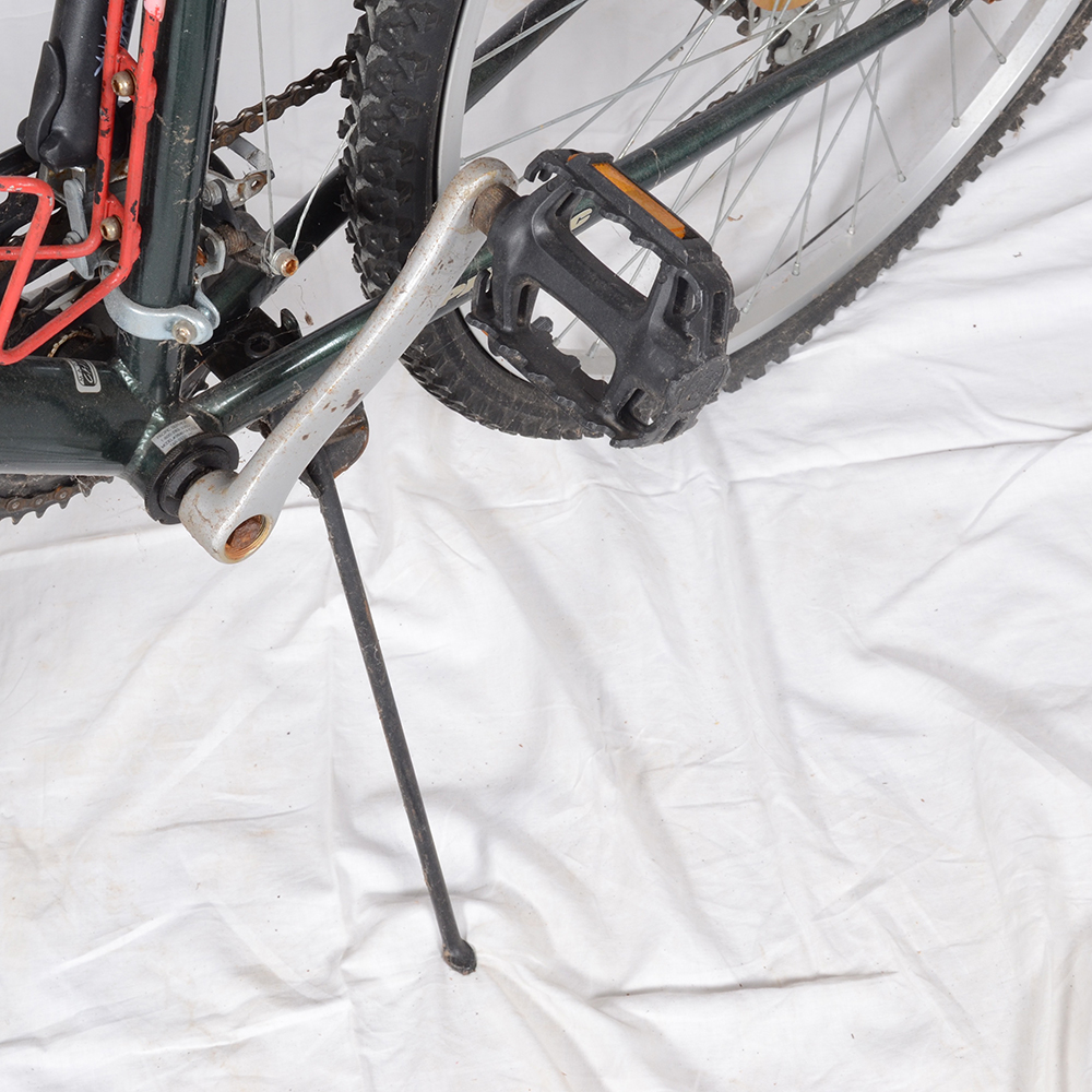 Pacific Scorpio Bike