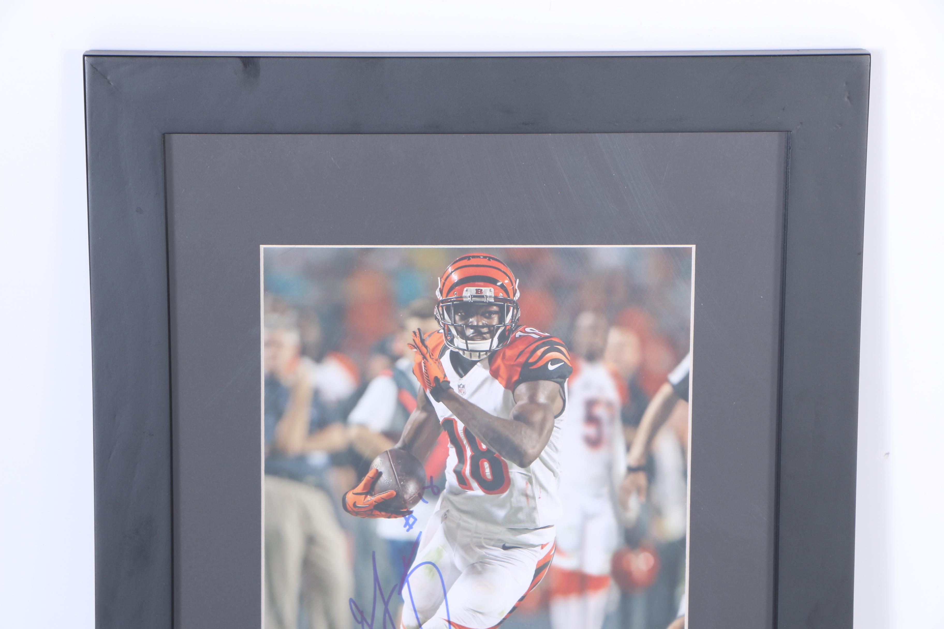 Autographed Photograph of A.J. Green