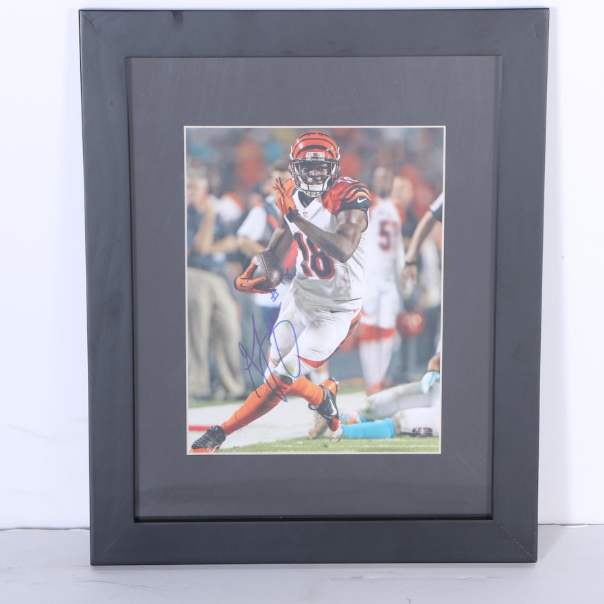 Autographed Photograph of A.J. Green
