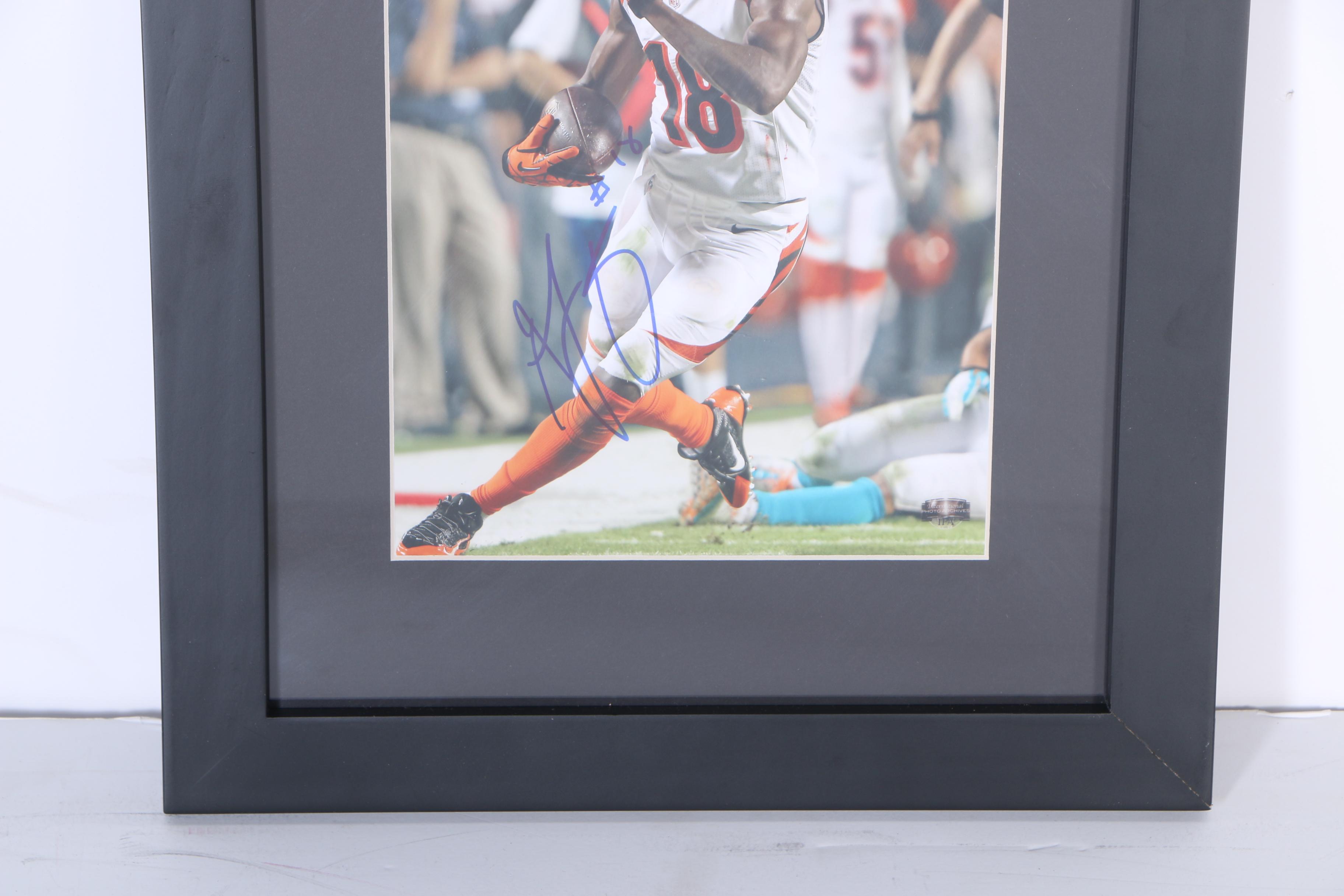 Autographed Photograph of A.J. Green