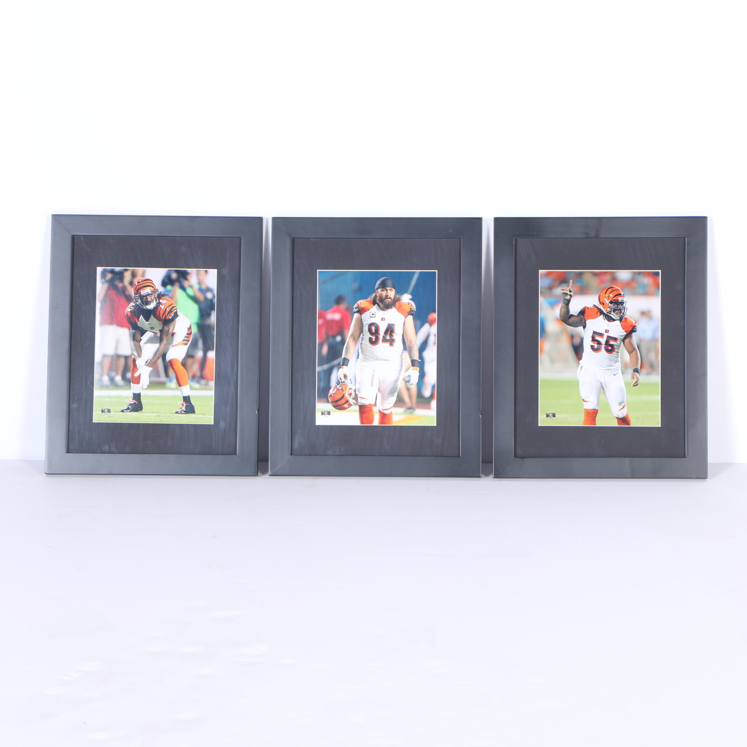 Digital Photographs of Bengals Defensive Players