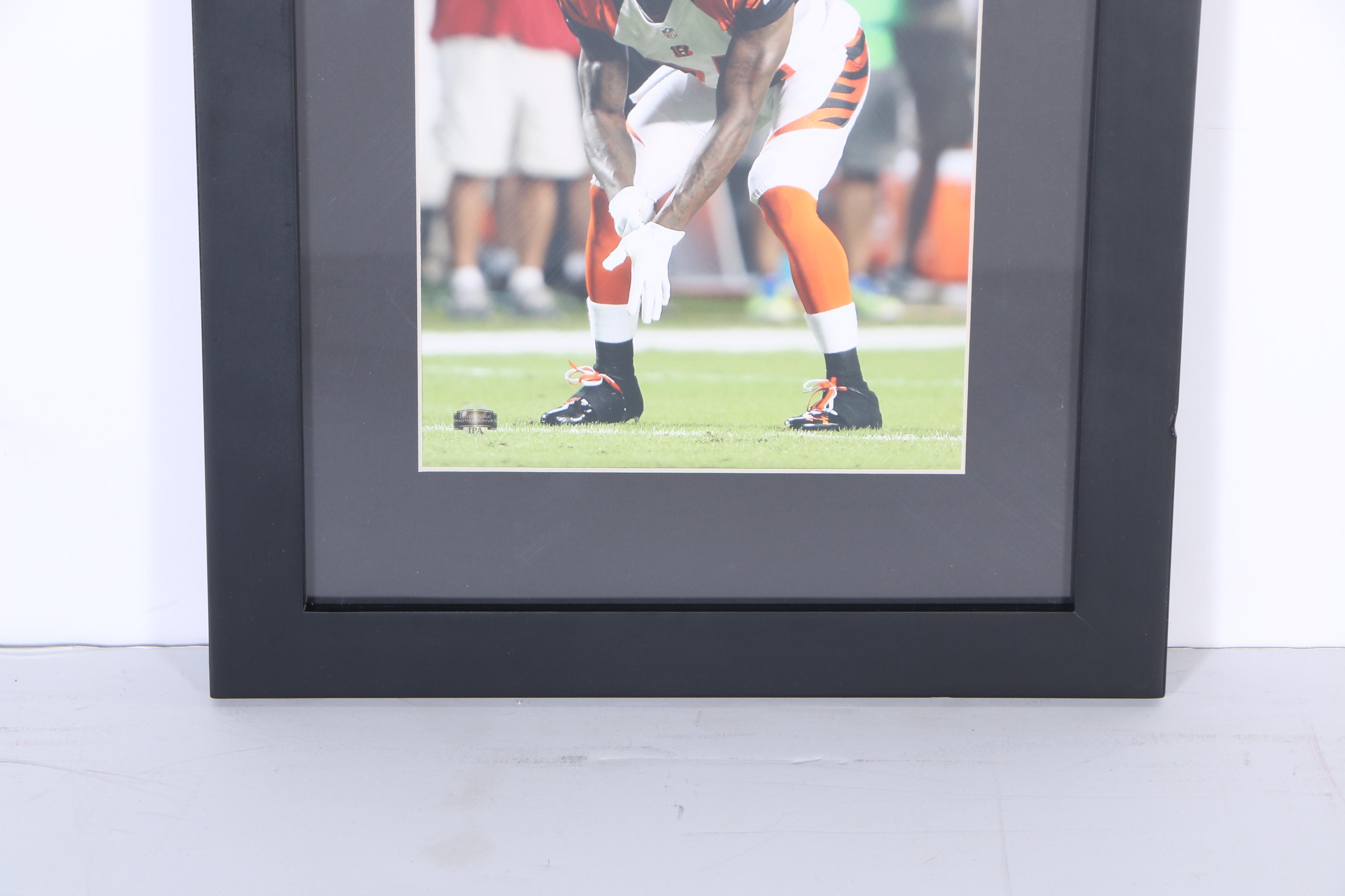 Digital Photographs of Bengals Defensive Players