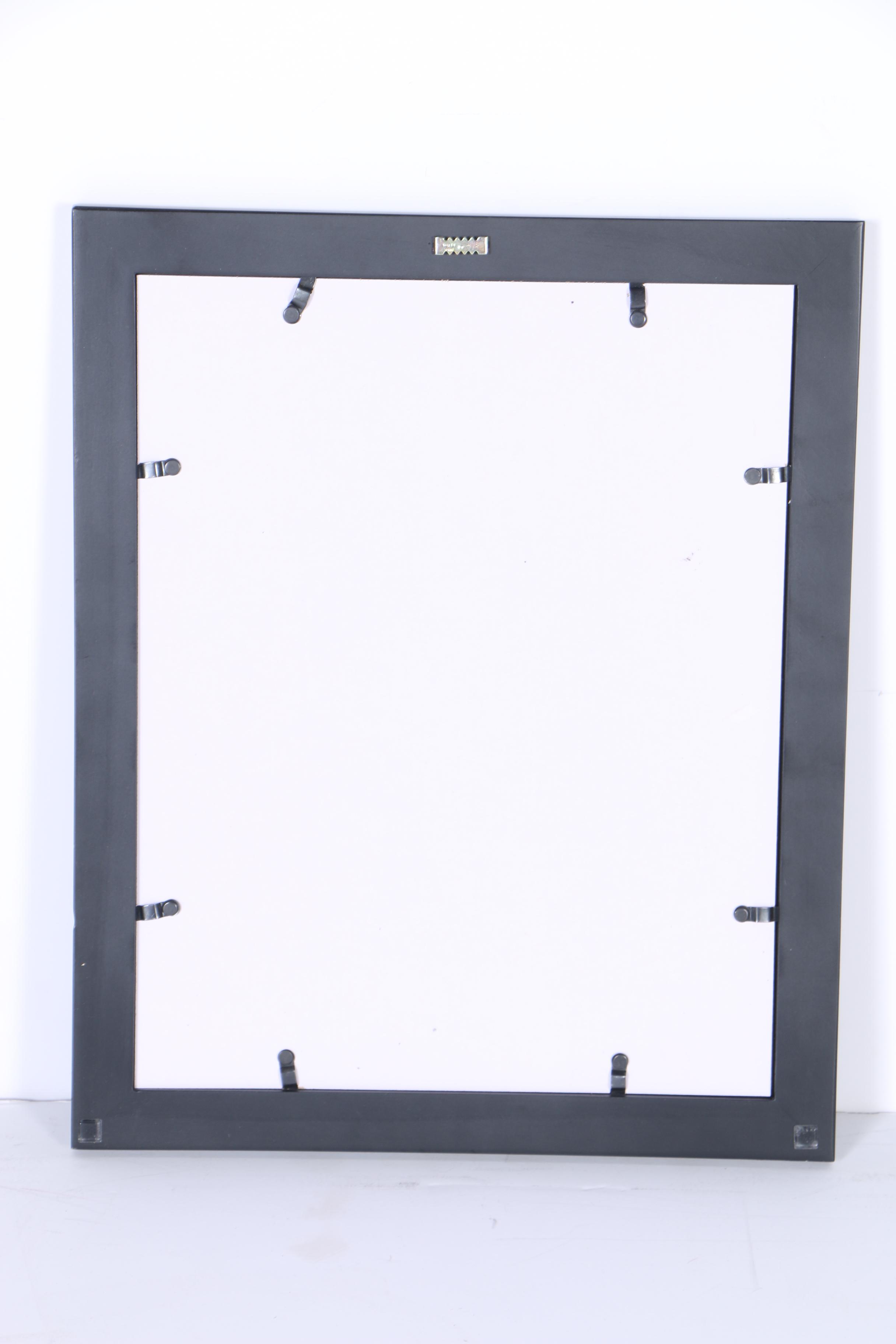 Digital Photographs of Bengals Defensive Players