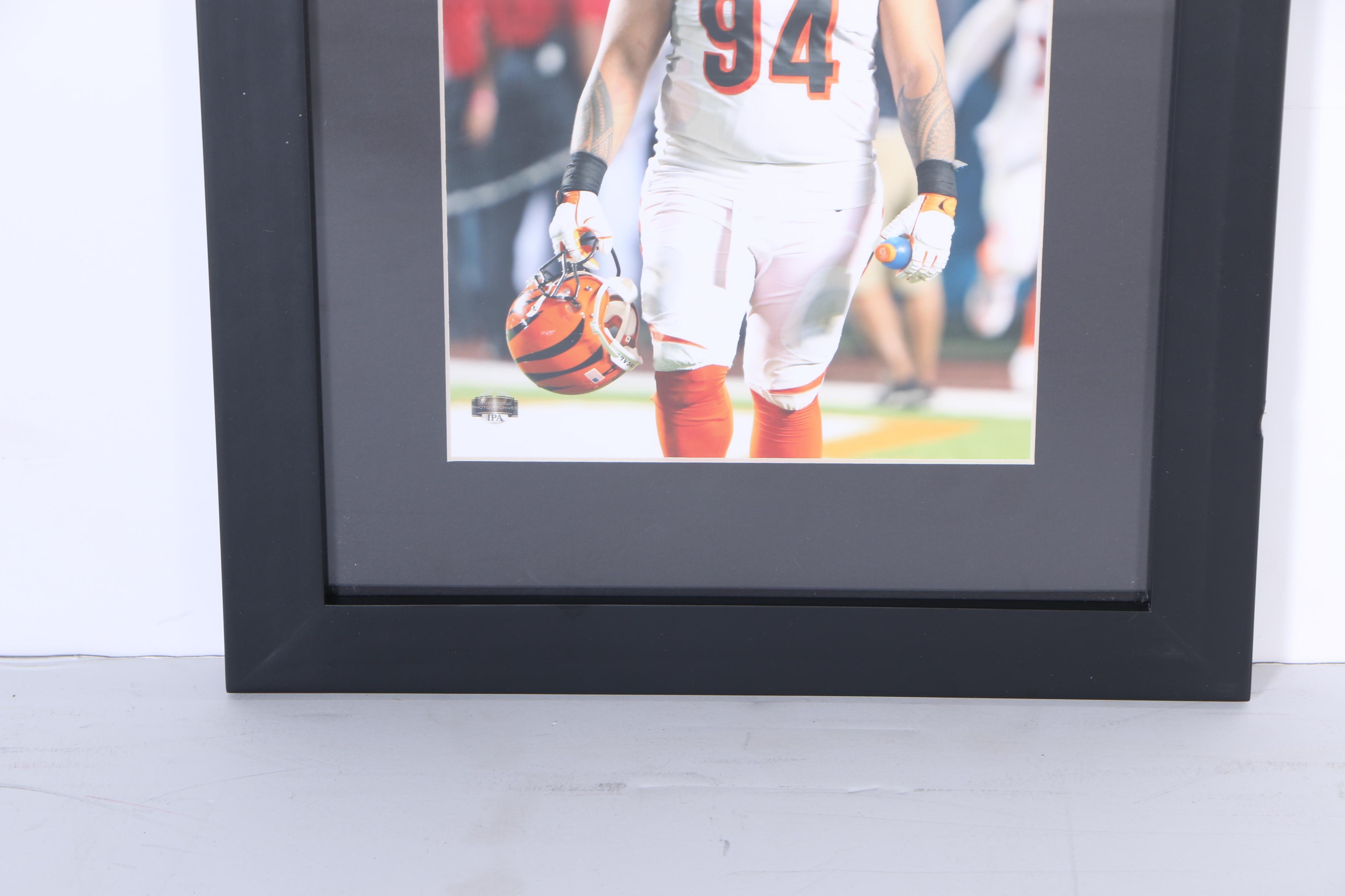 Digital Photographs of Bengals Defensive Players