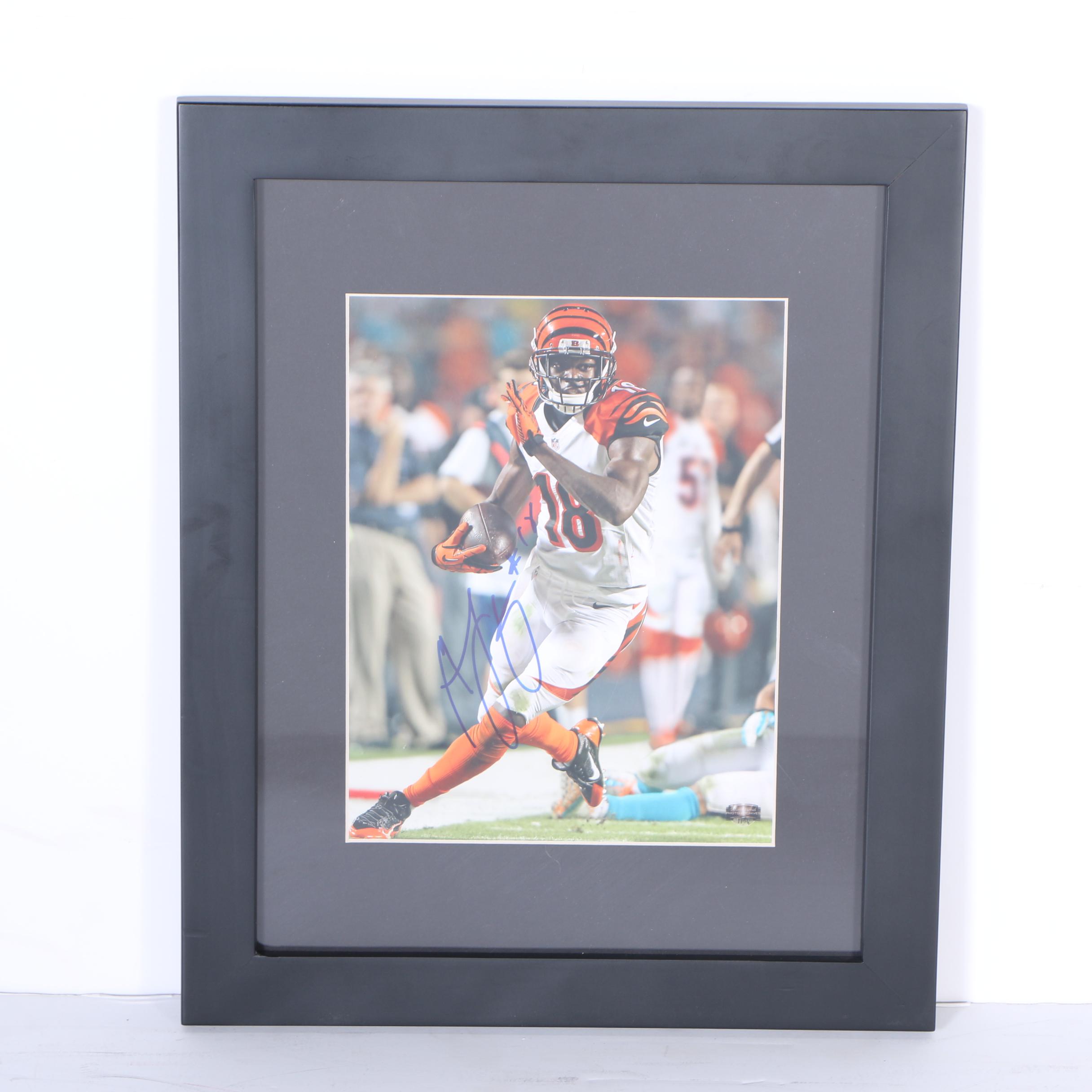 Framed and Signed A.J Green Photograph