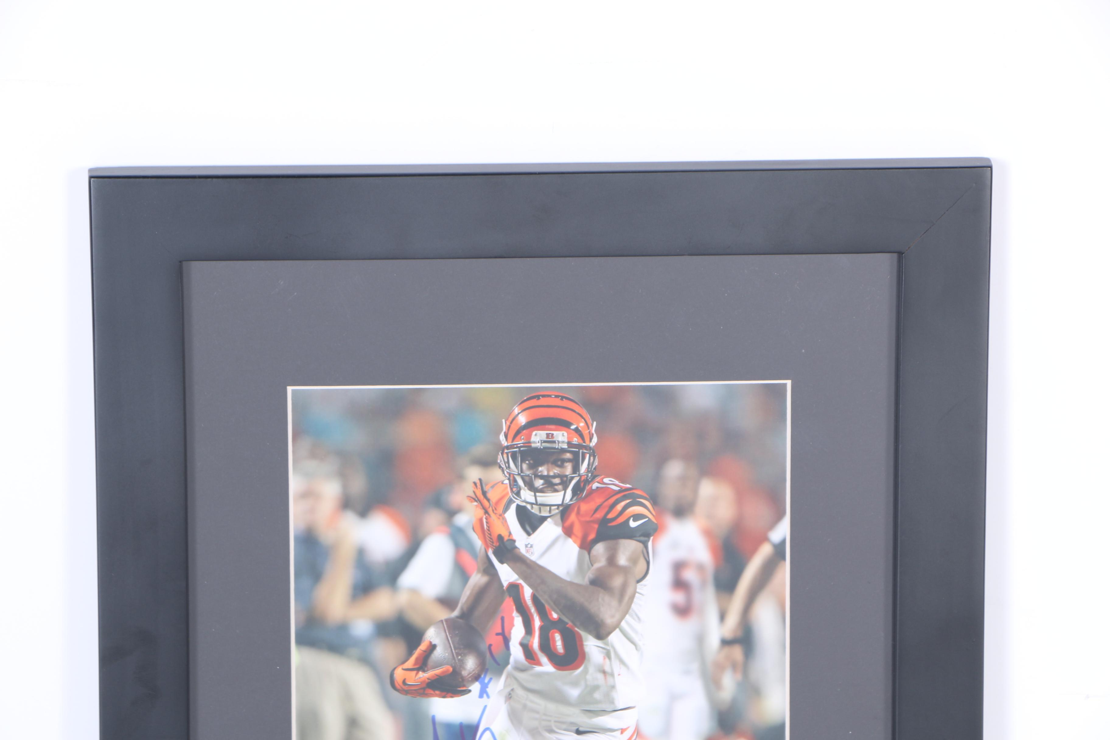 Framed and Signed A.J Green Photograph