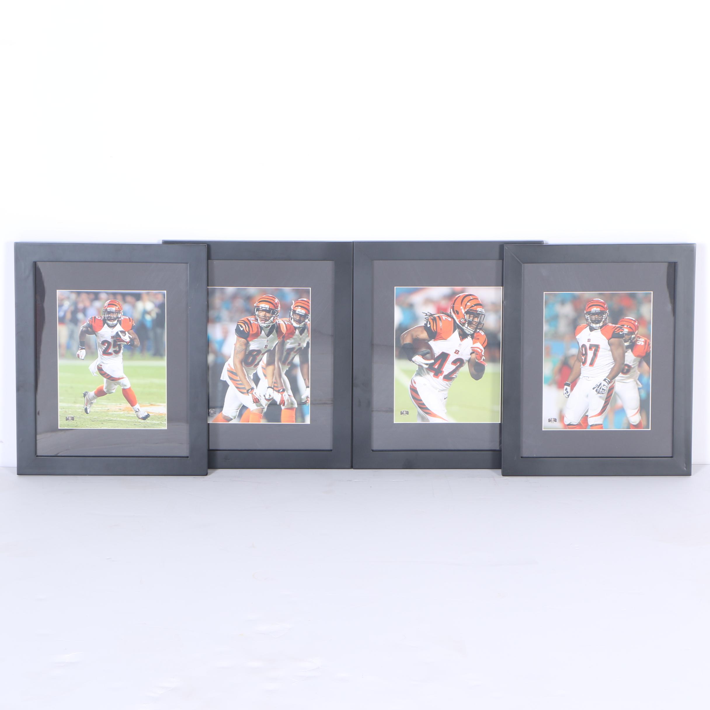 Collection of Digital Photographs of Cincinnati Bengals Players