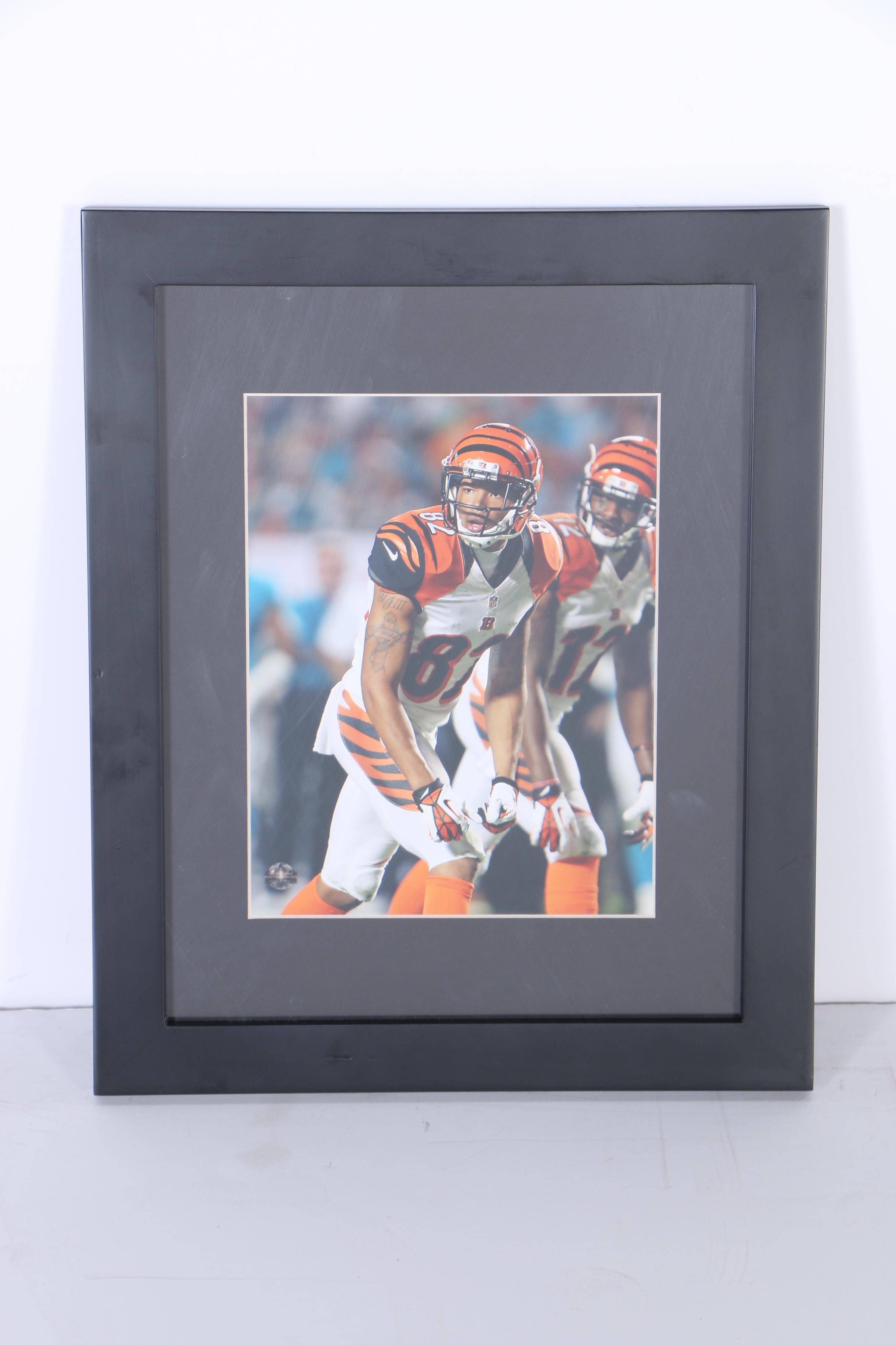 Collection of Digital Photographs of Cincinnati Bengals Players