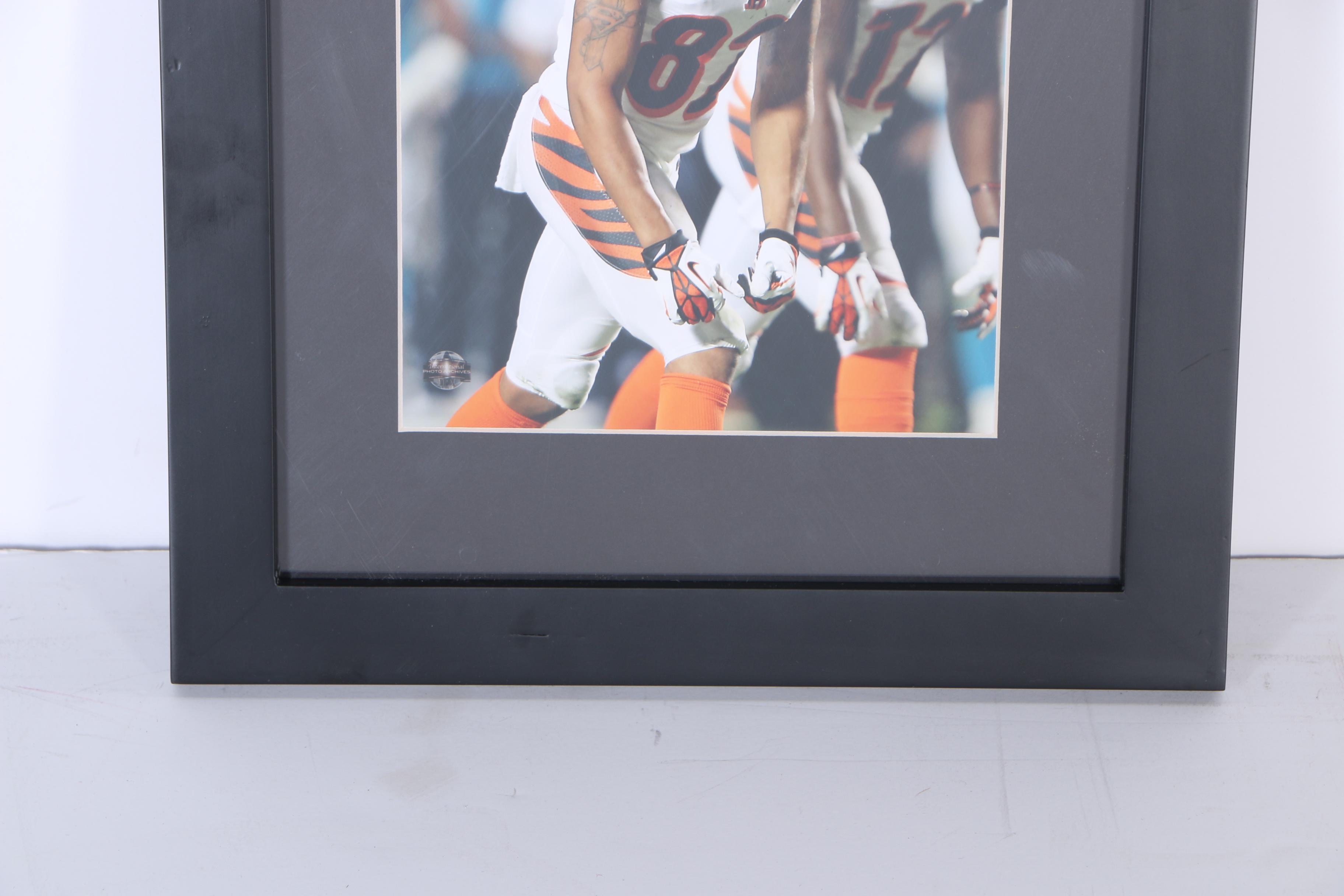 Collection of Digital Photographs of Cincinnati Bengals Players