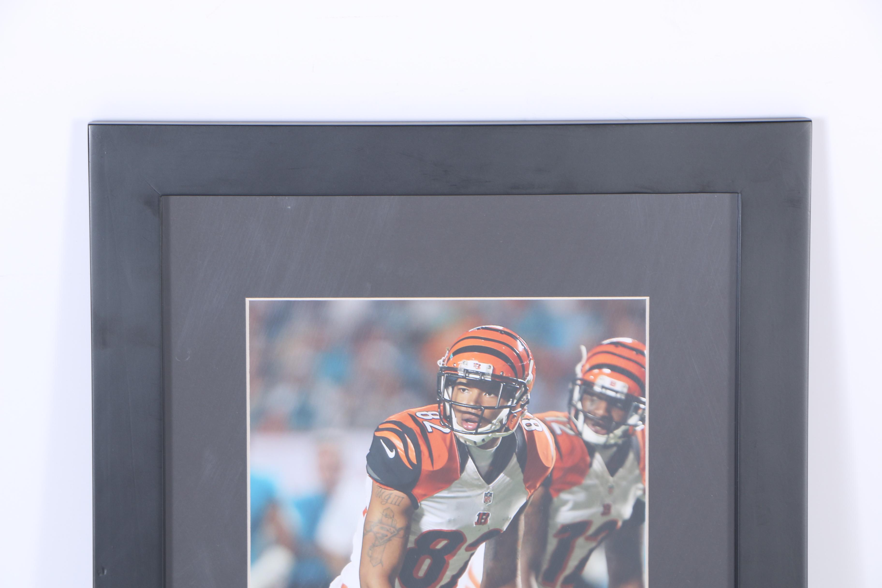 Collection of Digital Photographs of Cincinnati Bengals Players