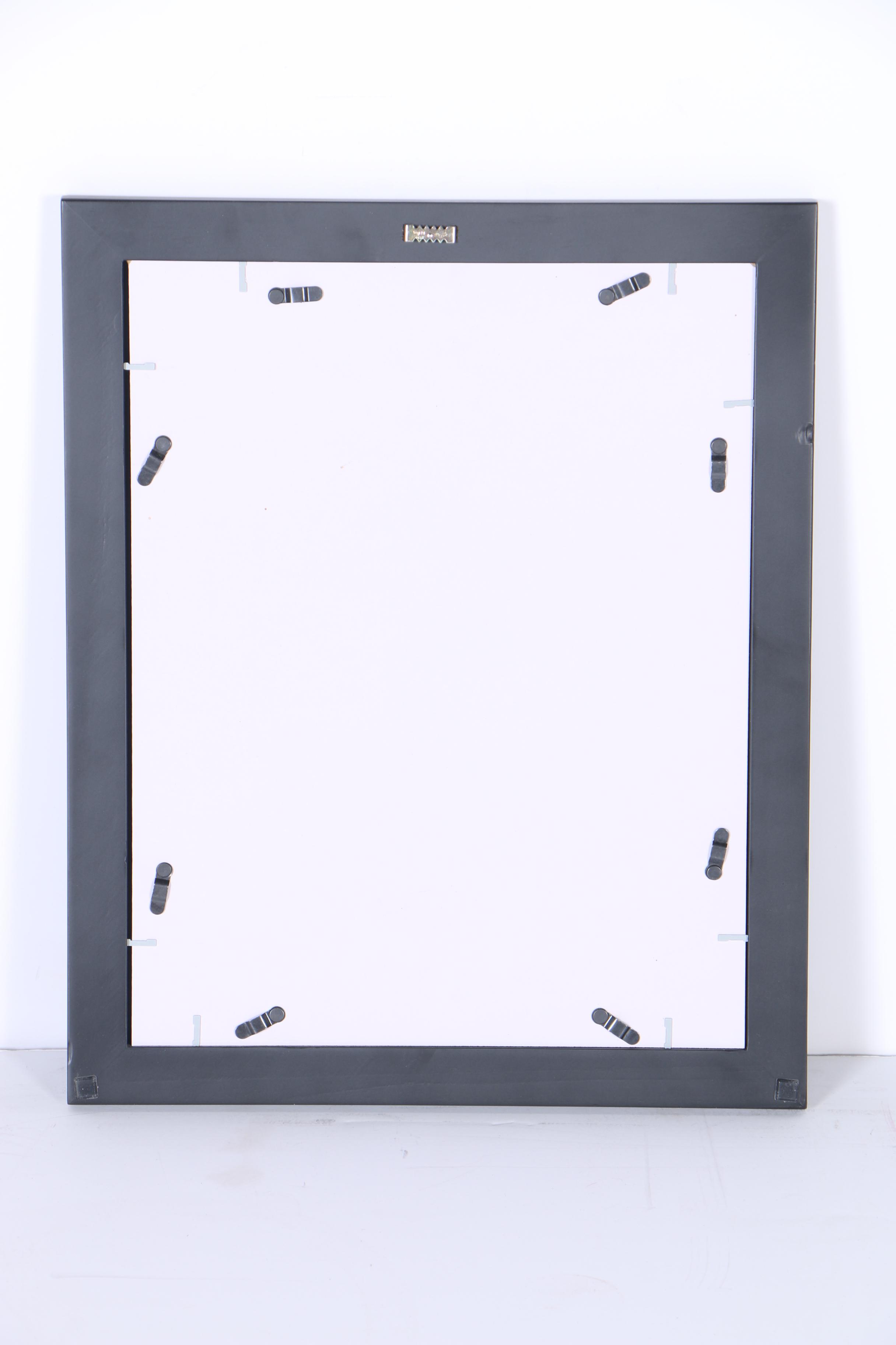 Collection of Digital Photographs of Cincinnati Bengals Players