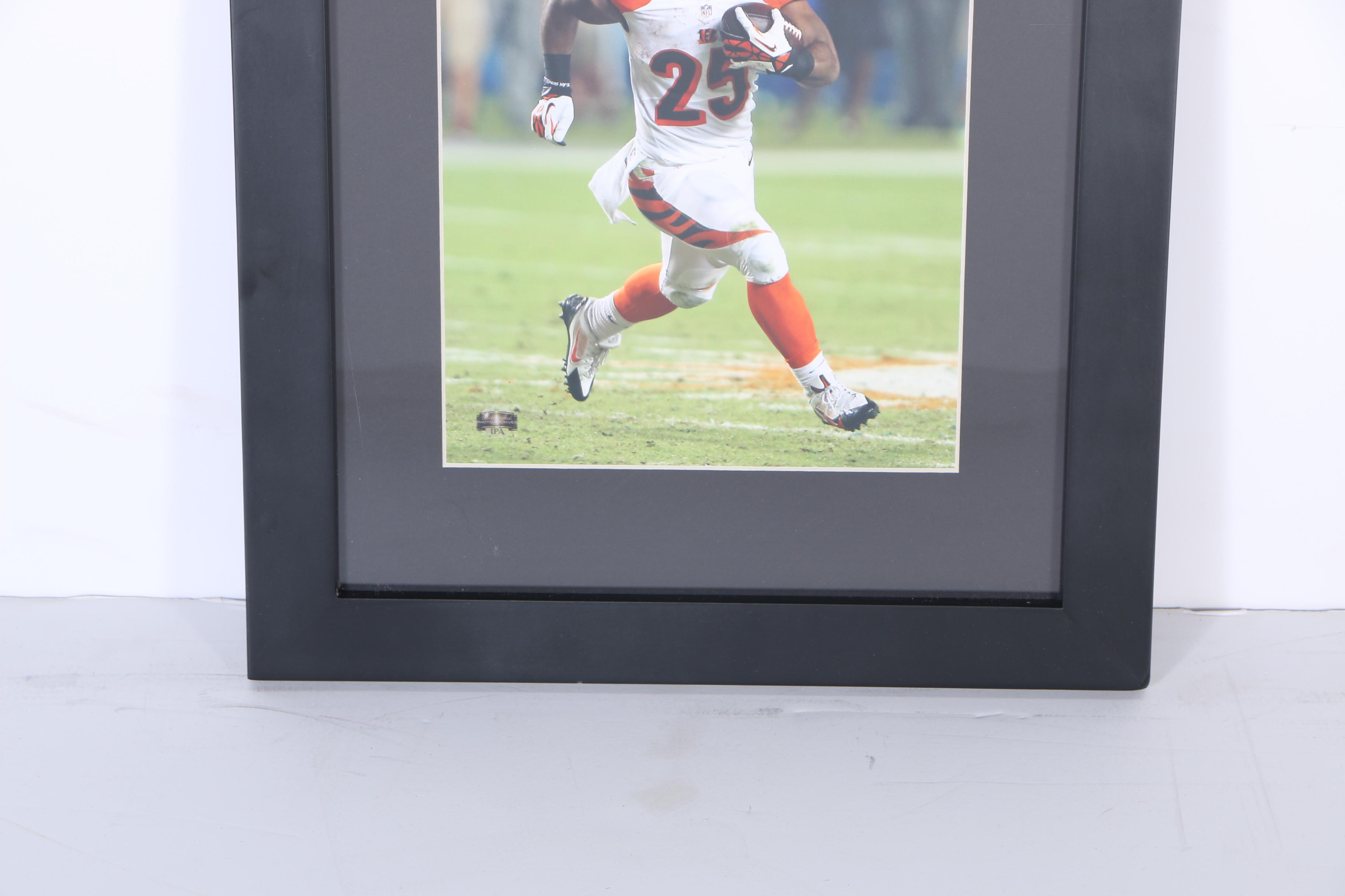 Collection of Digital Photographs of Cincinnati Bengals Players