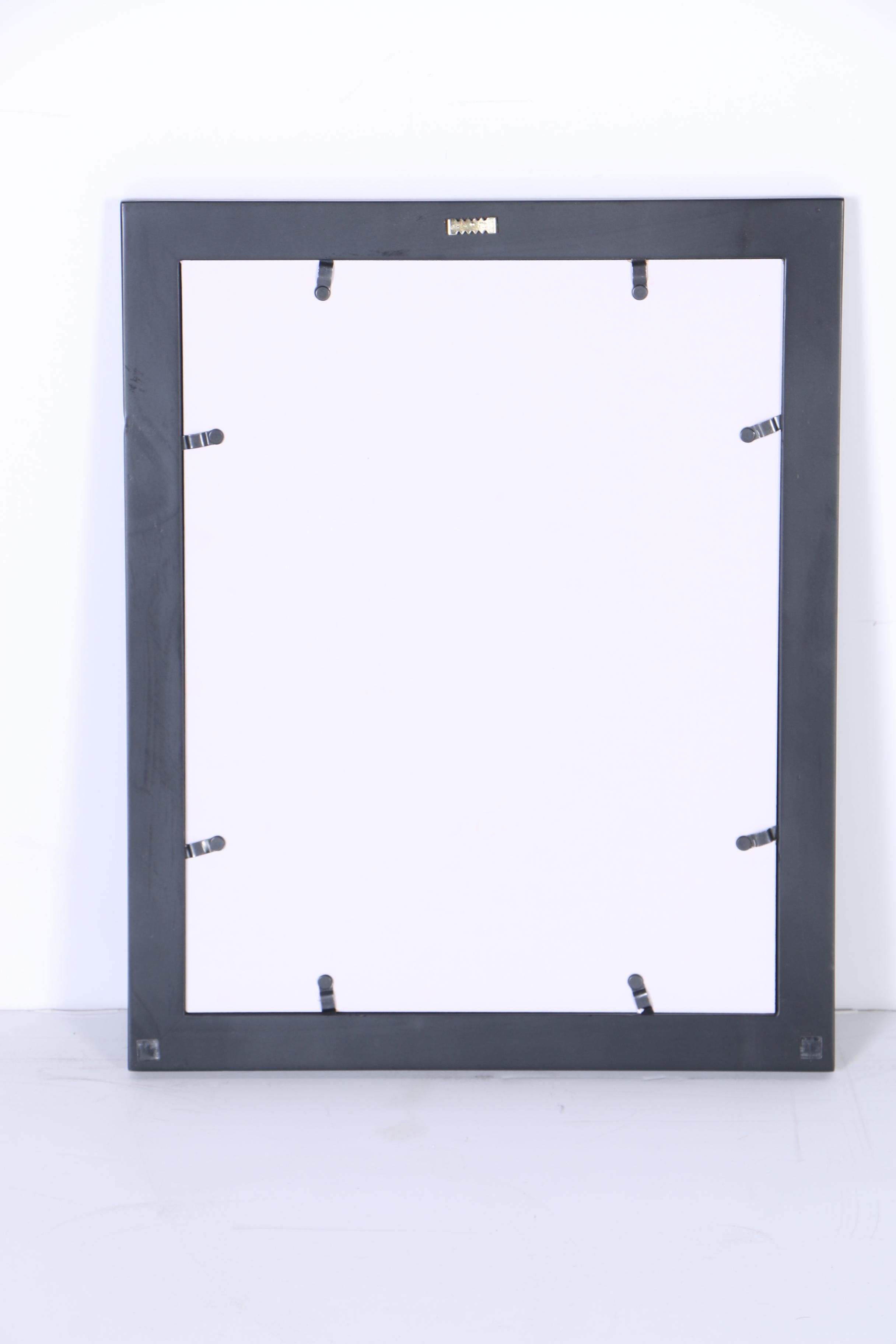 Collection of Digital Photographs of Cincinnati Bengals Players