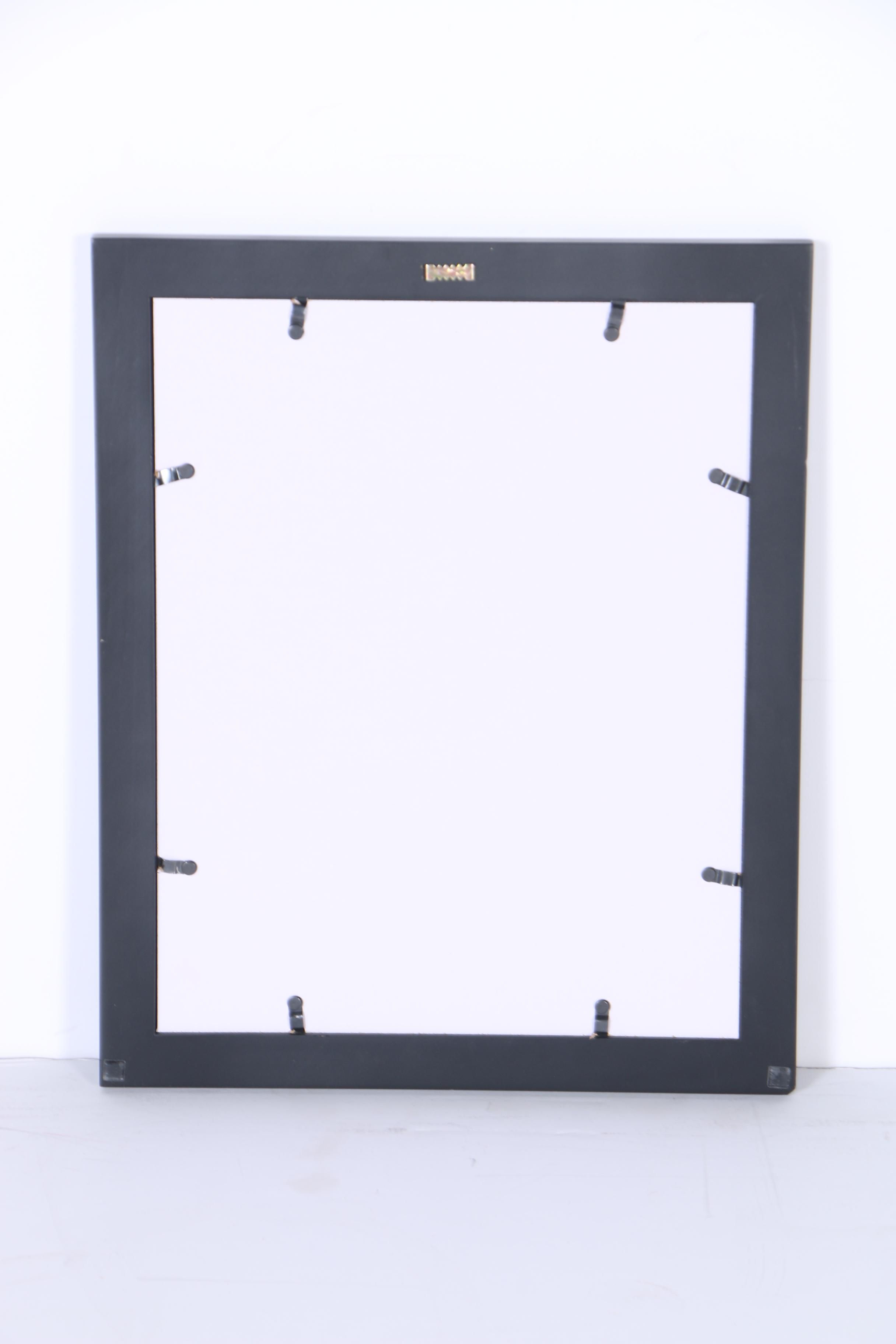 Collection of Digital Photographs of Cincinnati Bengals Players