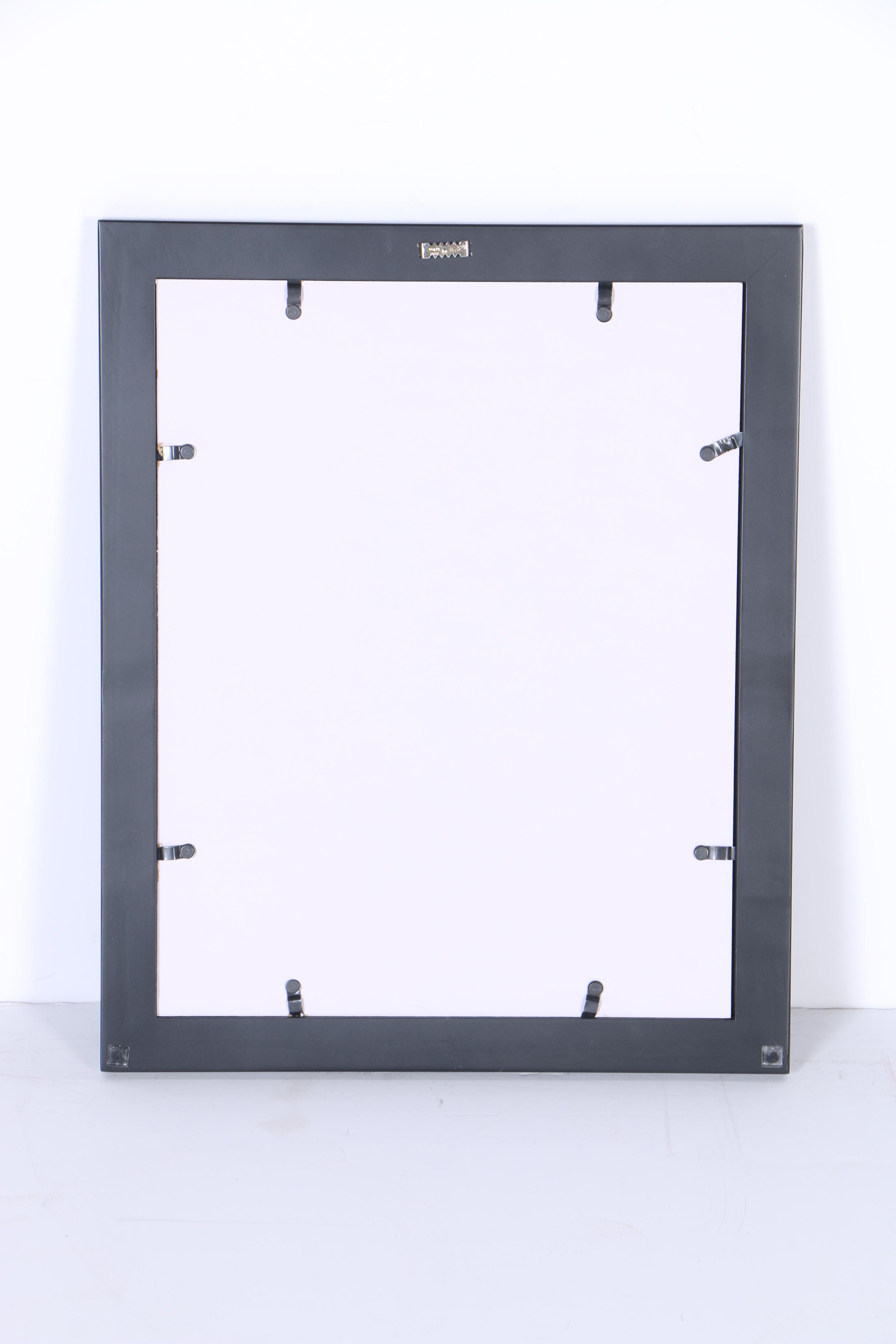 Collection of Digital Photographs of Cincinnati Bengals Players