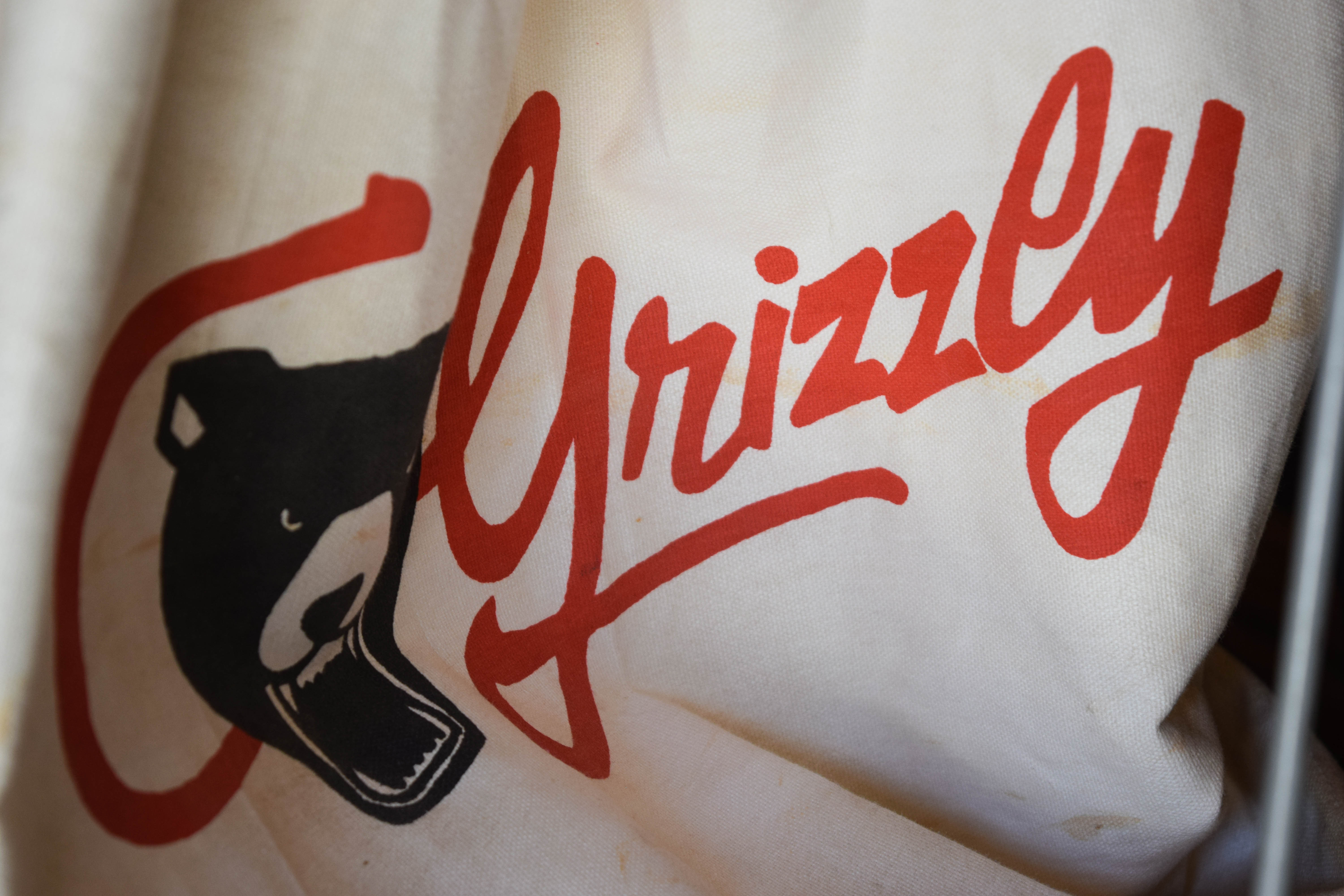 Grizzly Industrial Wood Dust Vacuum