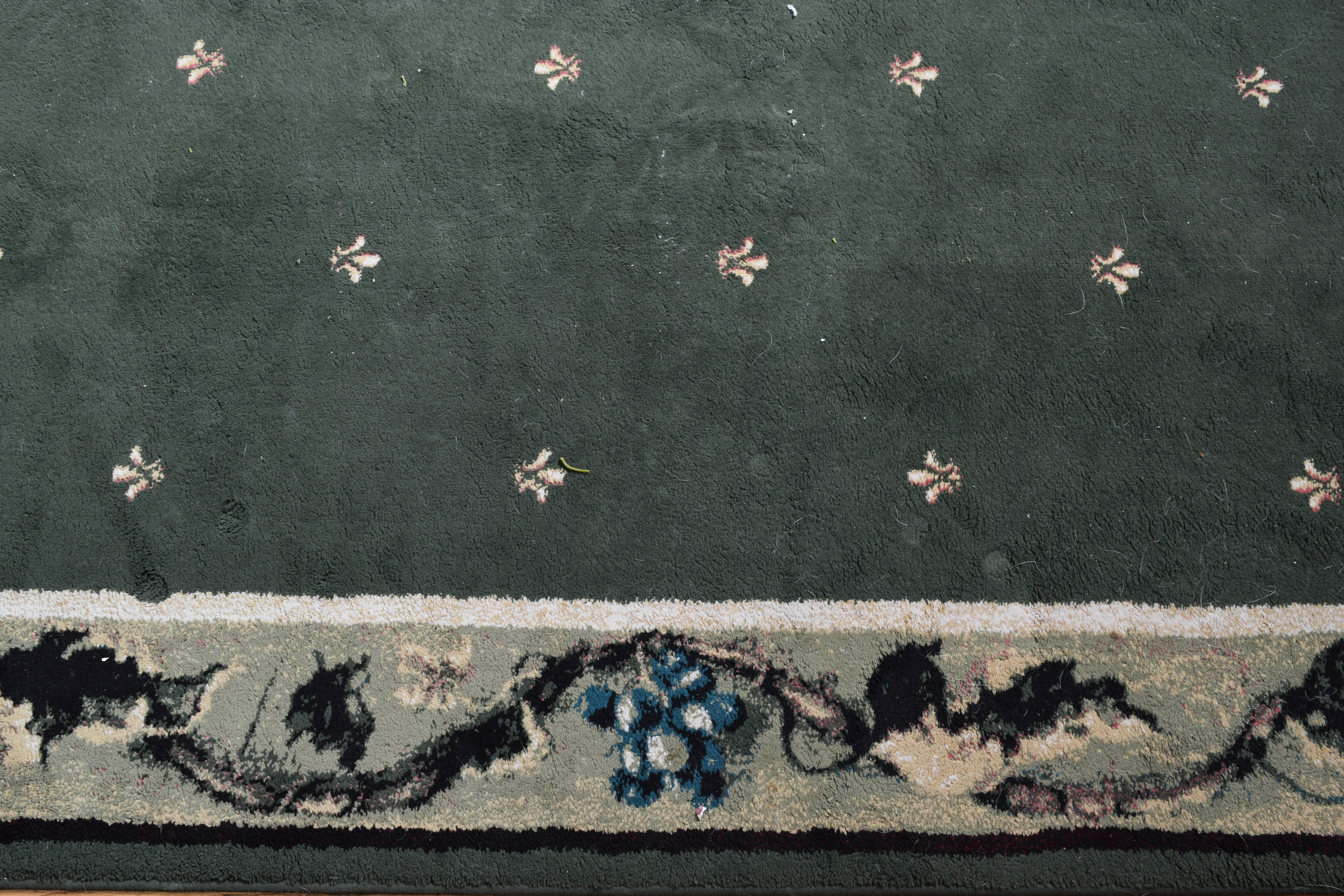 Tracy Porter Area Rug by Shaw Rugs