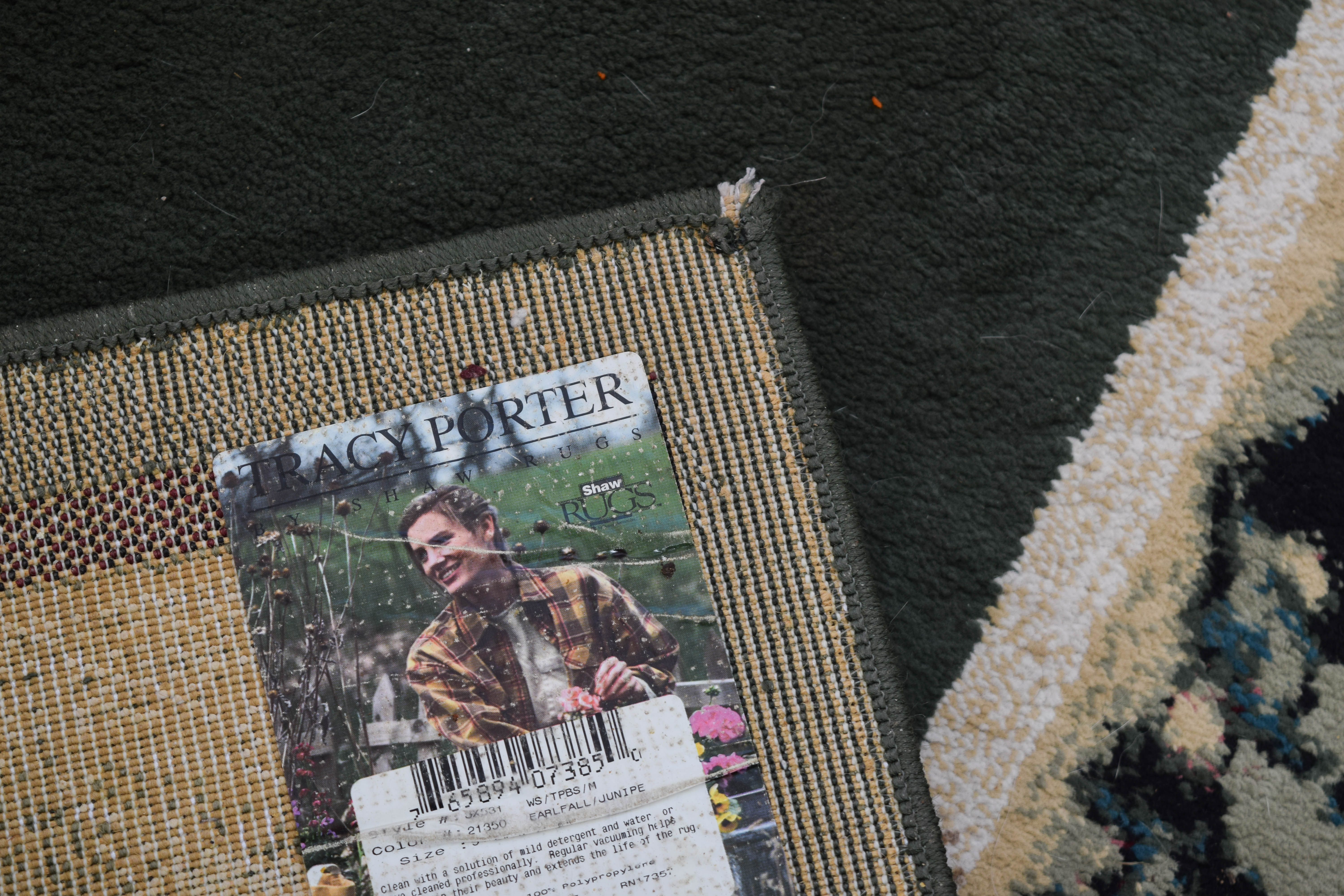 Tracy Porter Area Rug by Shaw Rugs