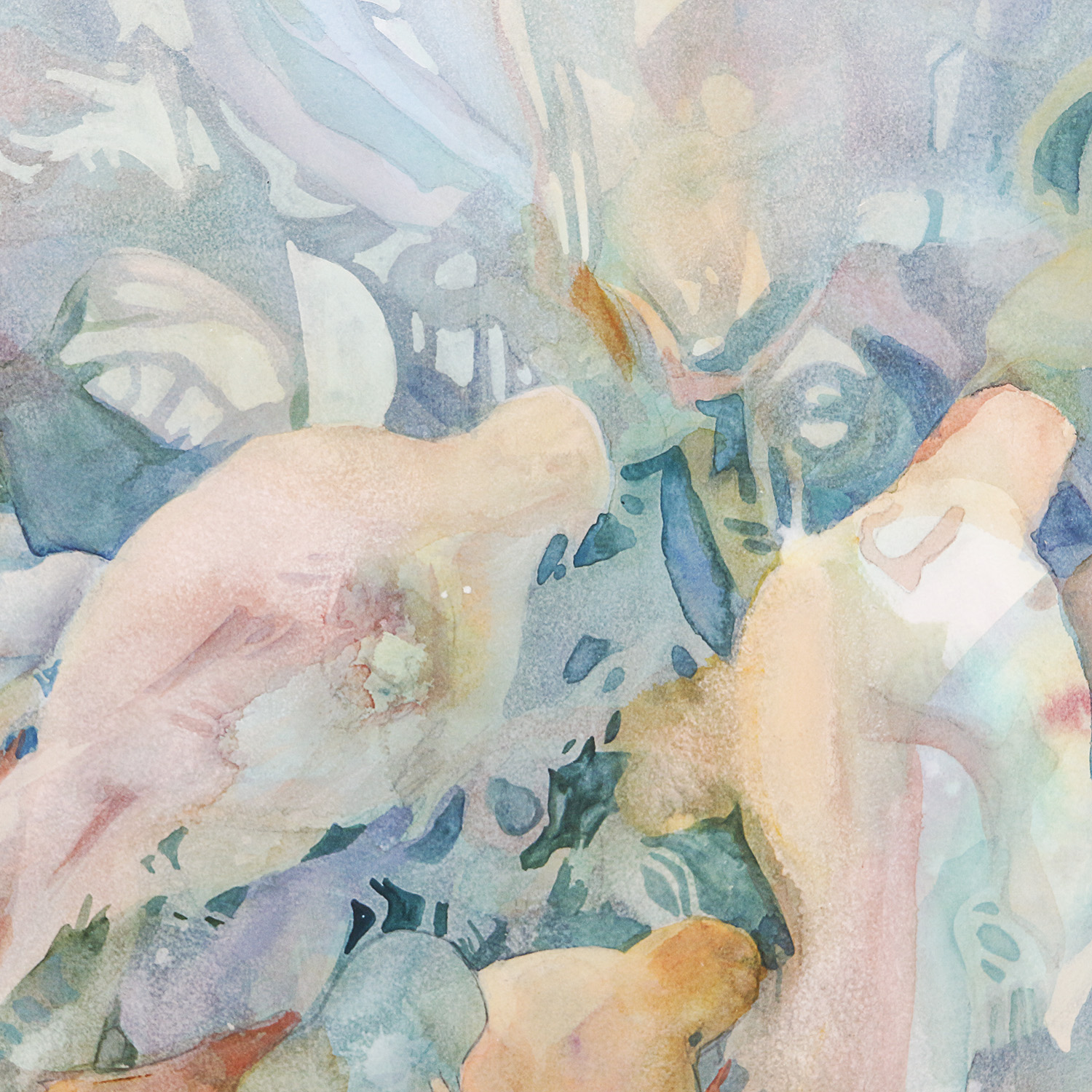 Paula Rayer Nemec Watercolor Painting of Birds