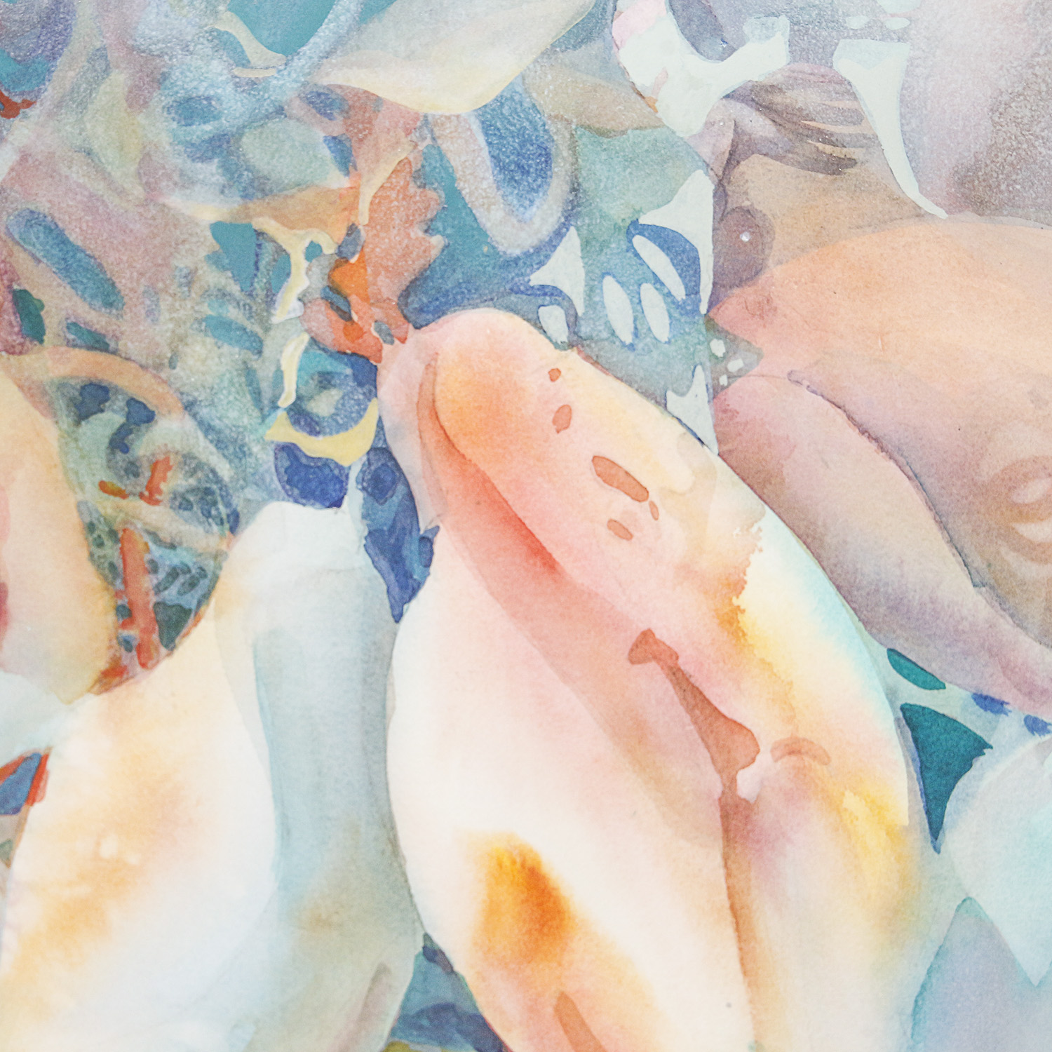 Paula Rayer Nemec Watercolor Painting of Birds