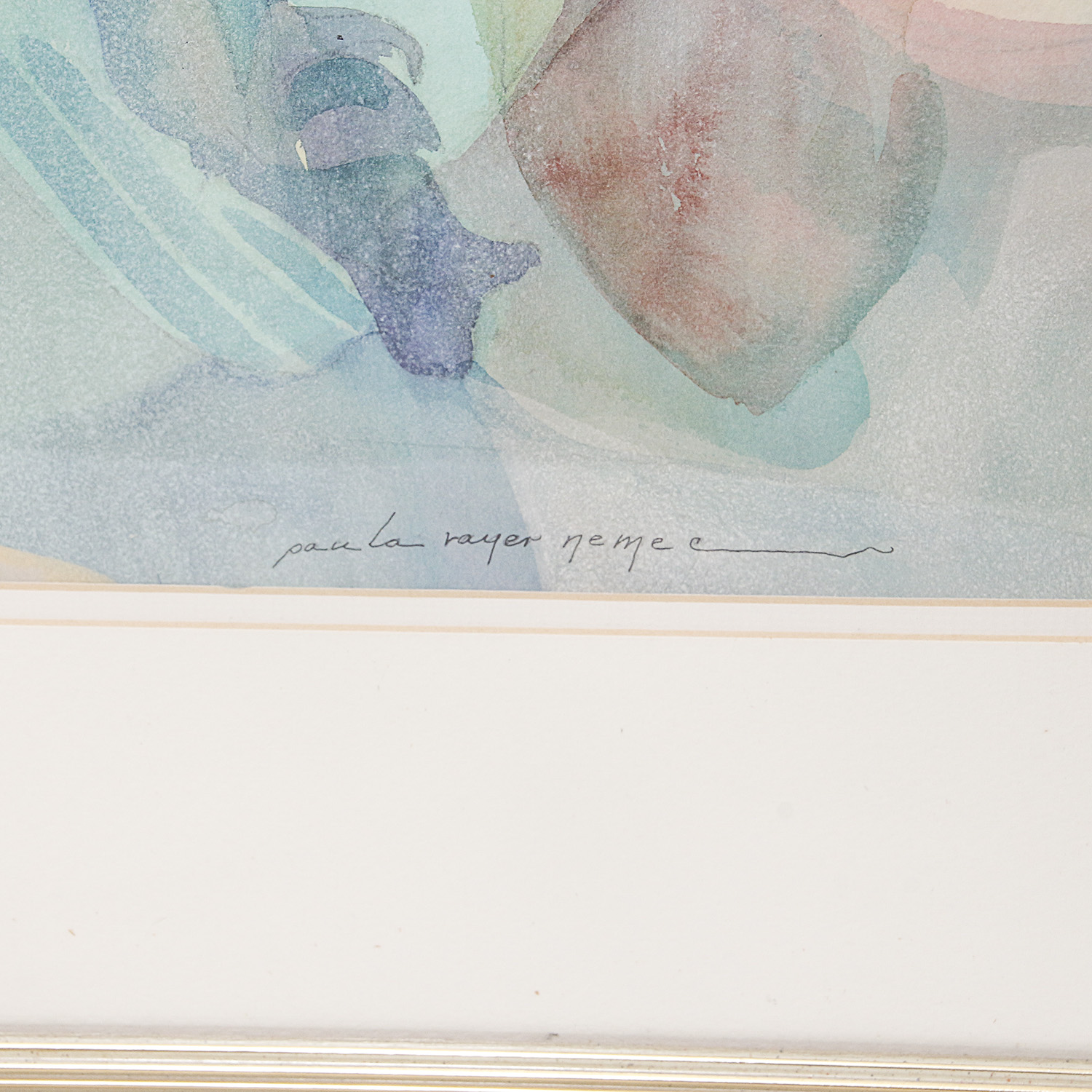 Paula Rayer Nemec Watercolor Painting of Birds