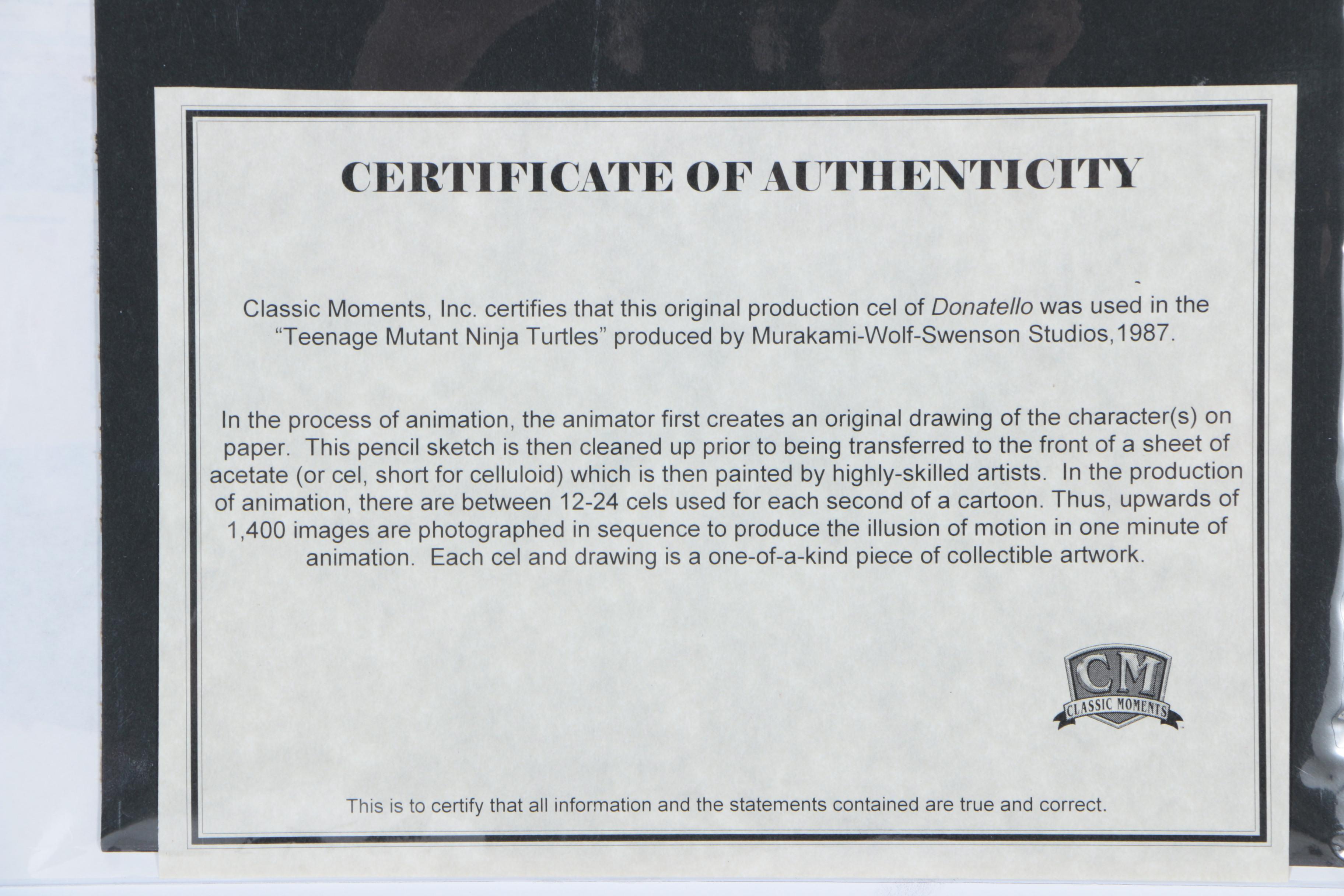 Teenage Mutant Ninja Turtles Original Production Cels