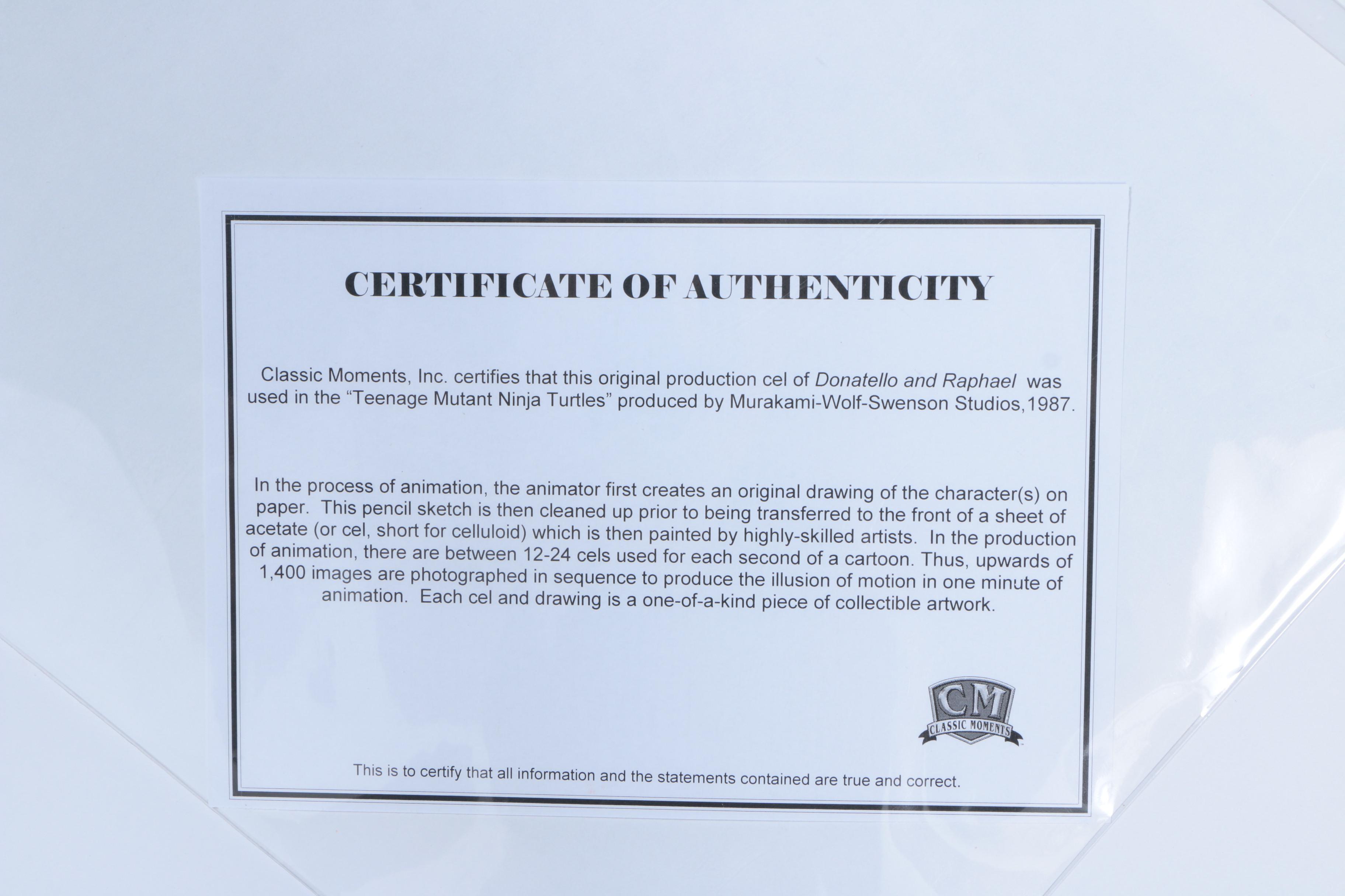 Teenage Mutant Ninja Turtles Original Production Cels