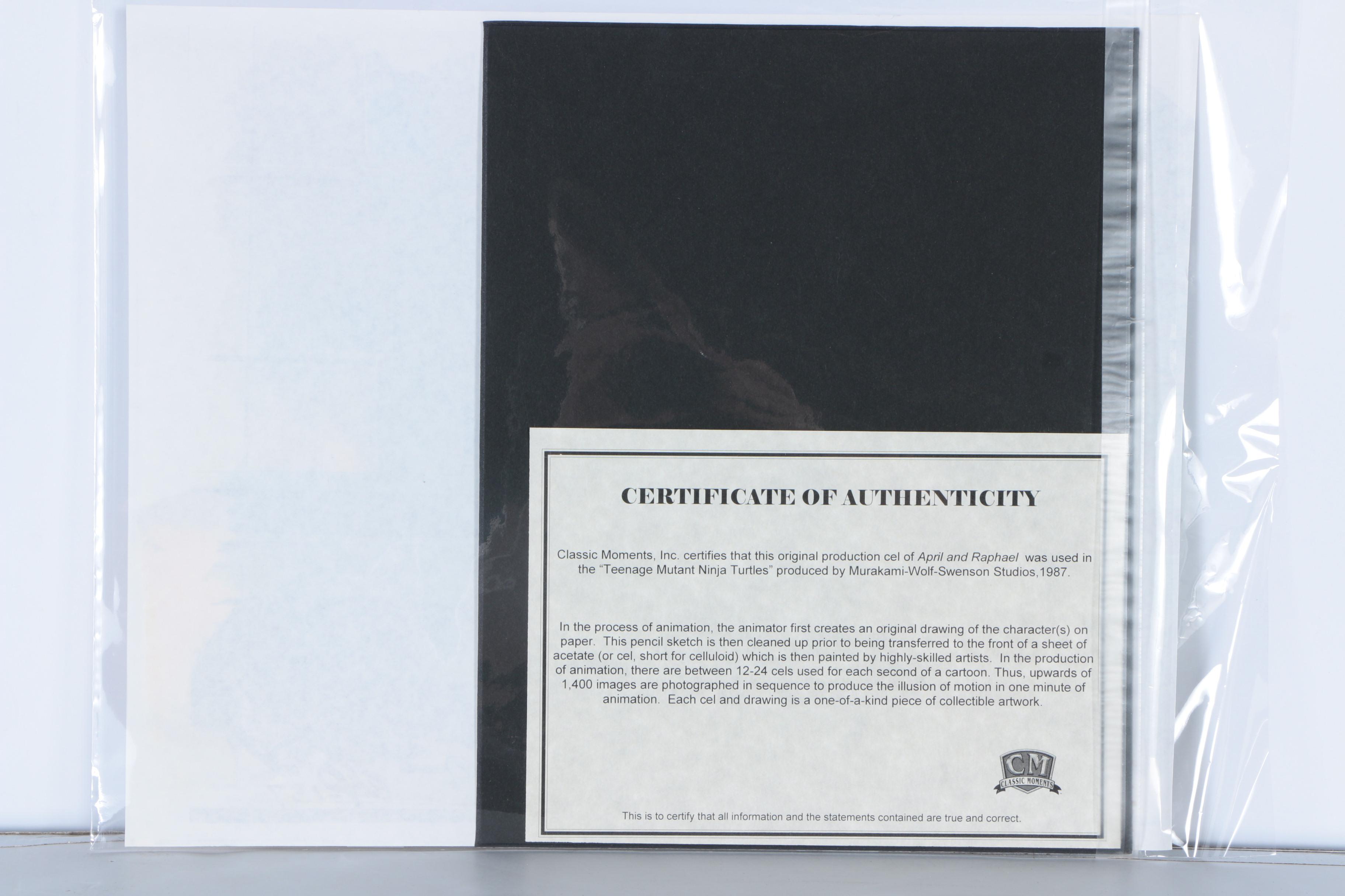 Teenage Mutant Ninja Turtles Original Production Cels