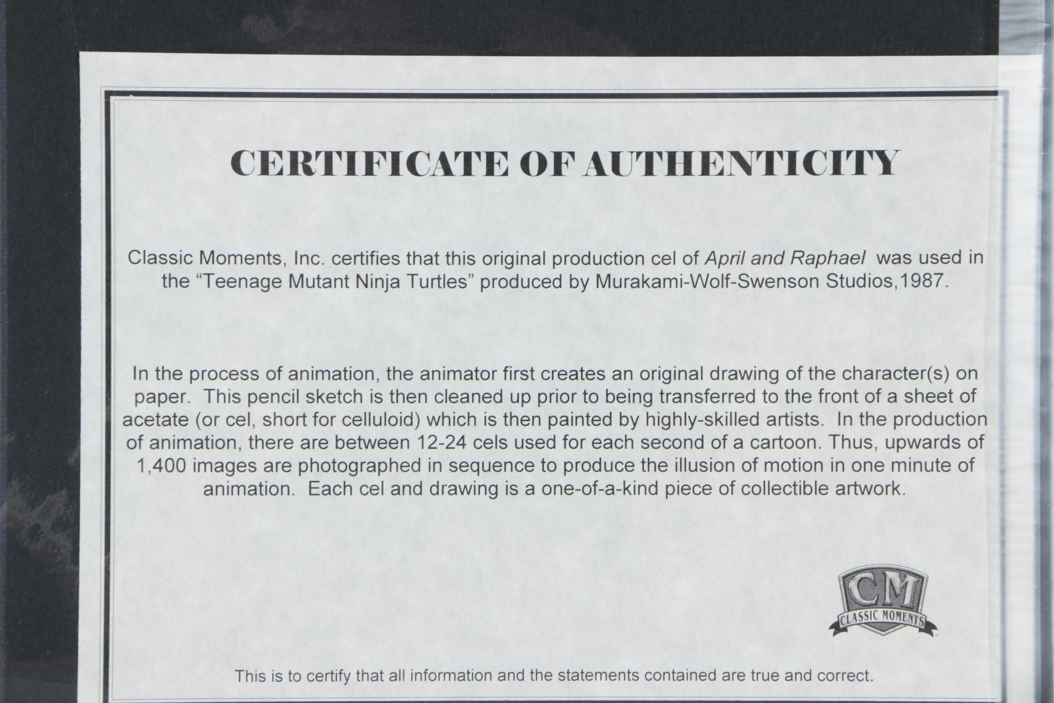 Teenage Mutant Ninja Turtles Original Production Cels