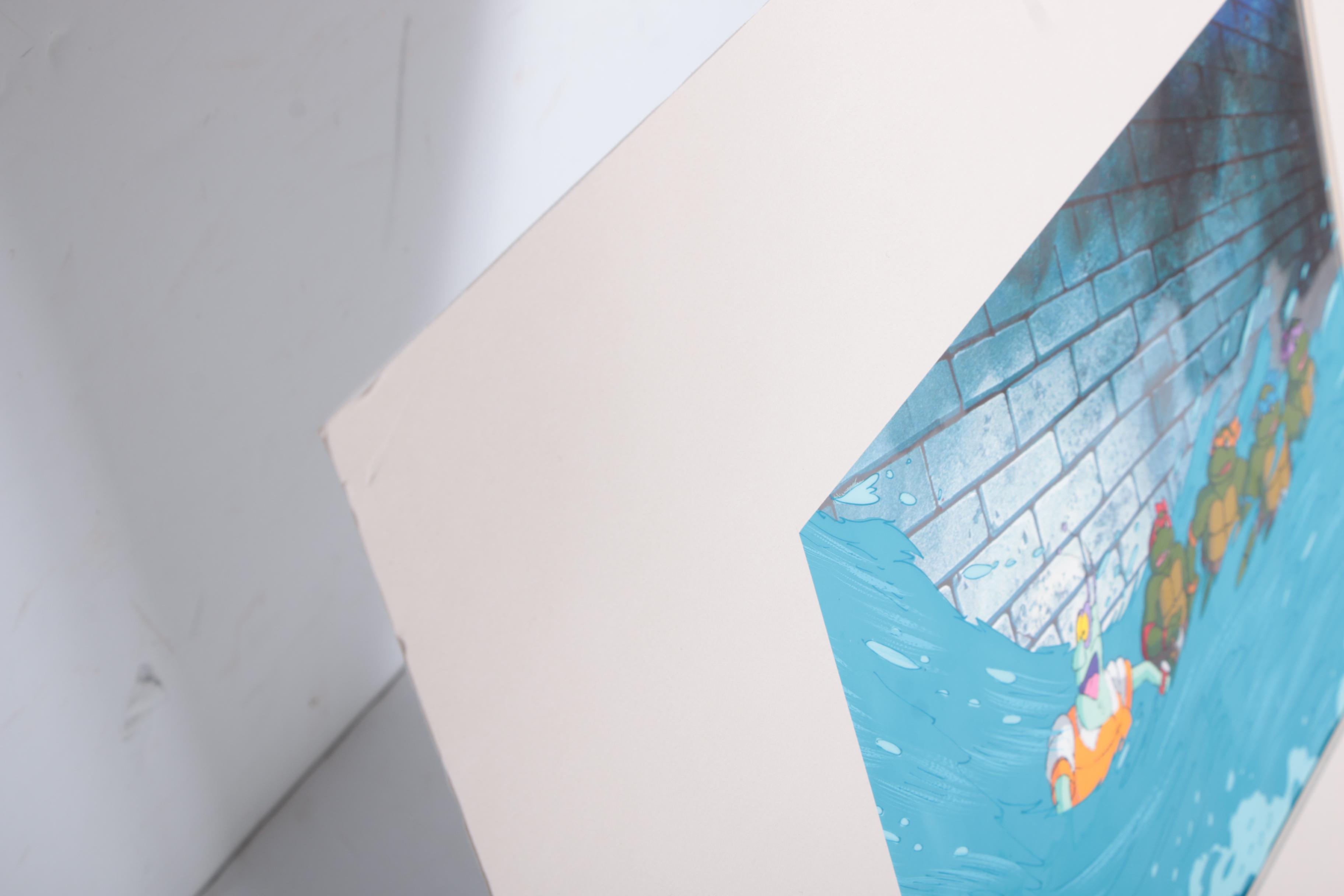 Teenage Mutant Ninja Turtles Animation Cels