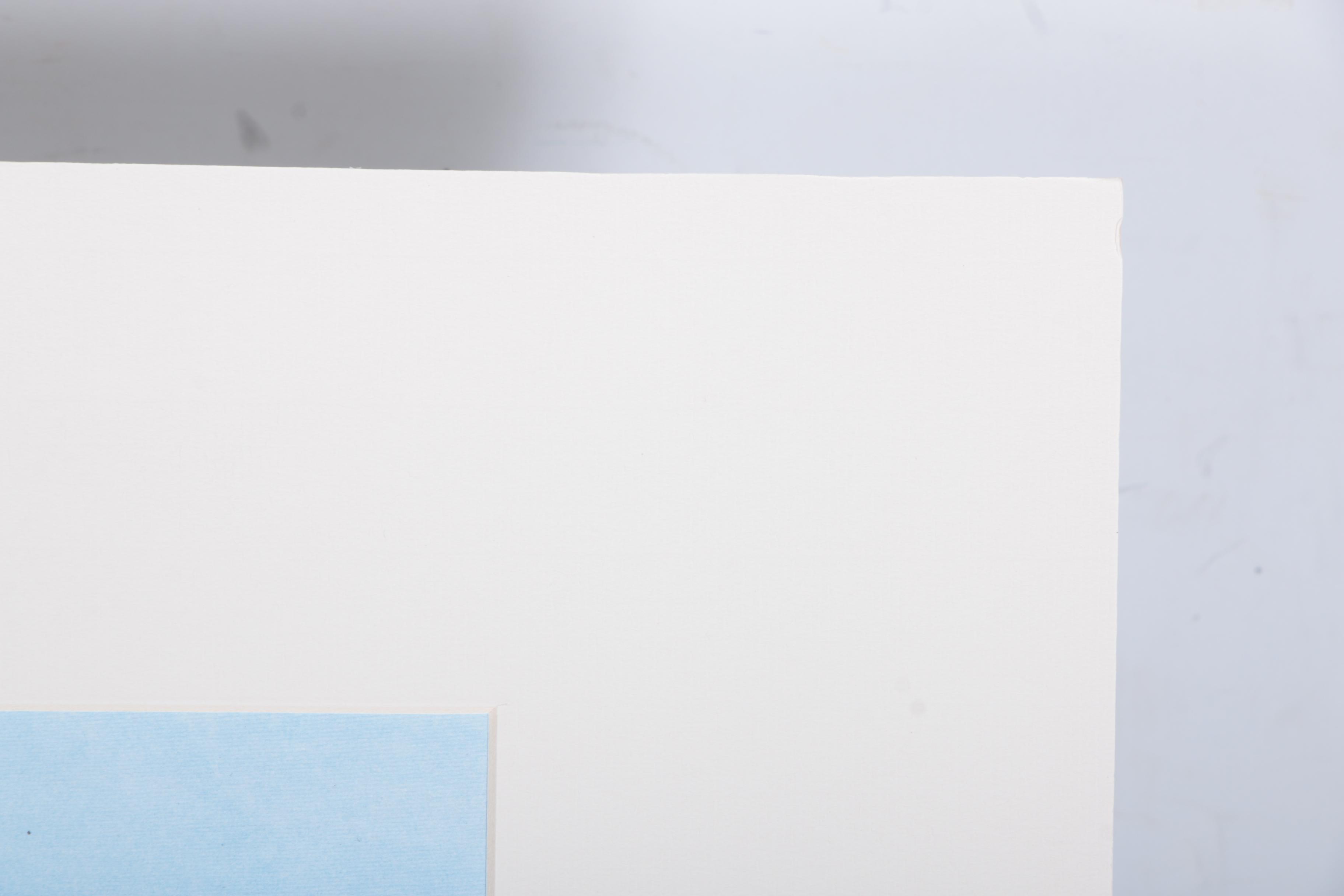 Teenage Mutant Ninja Turtles Animation Cels