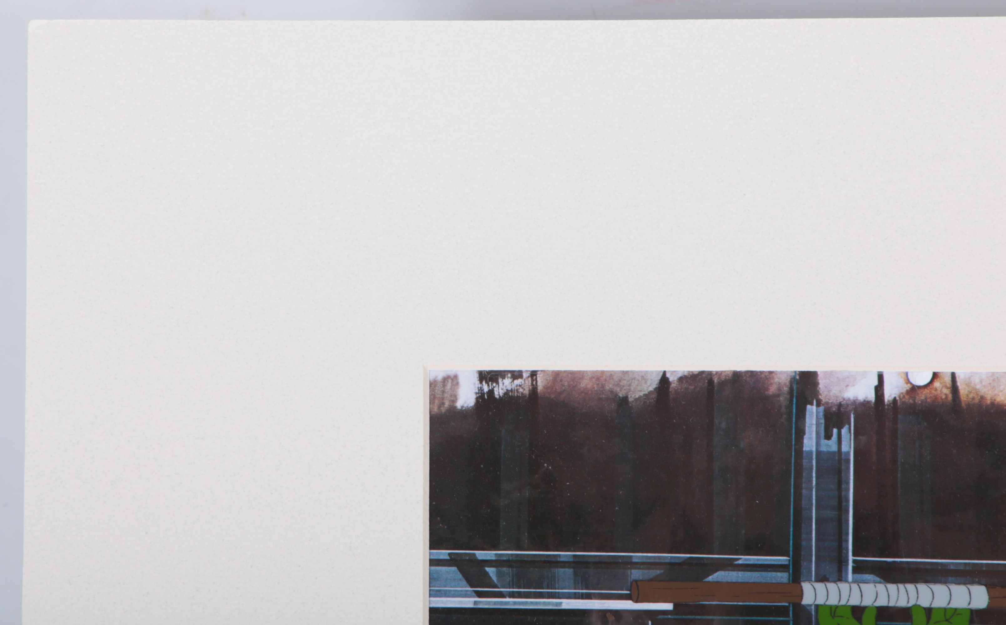 Teenage Mutant Ninja Turtles Animation Cels