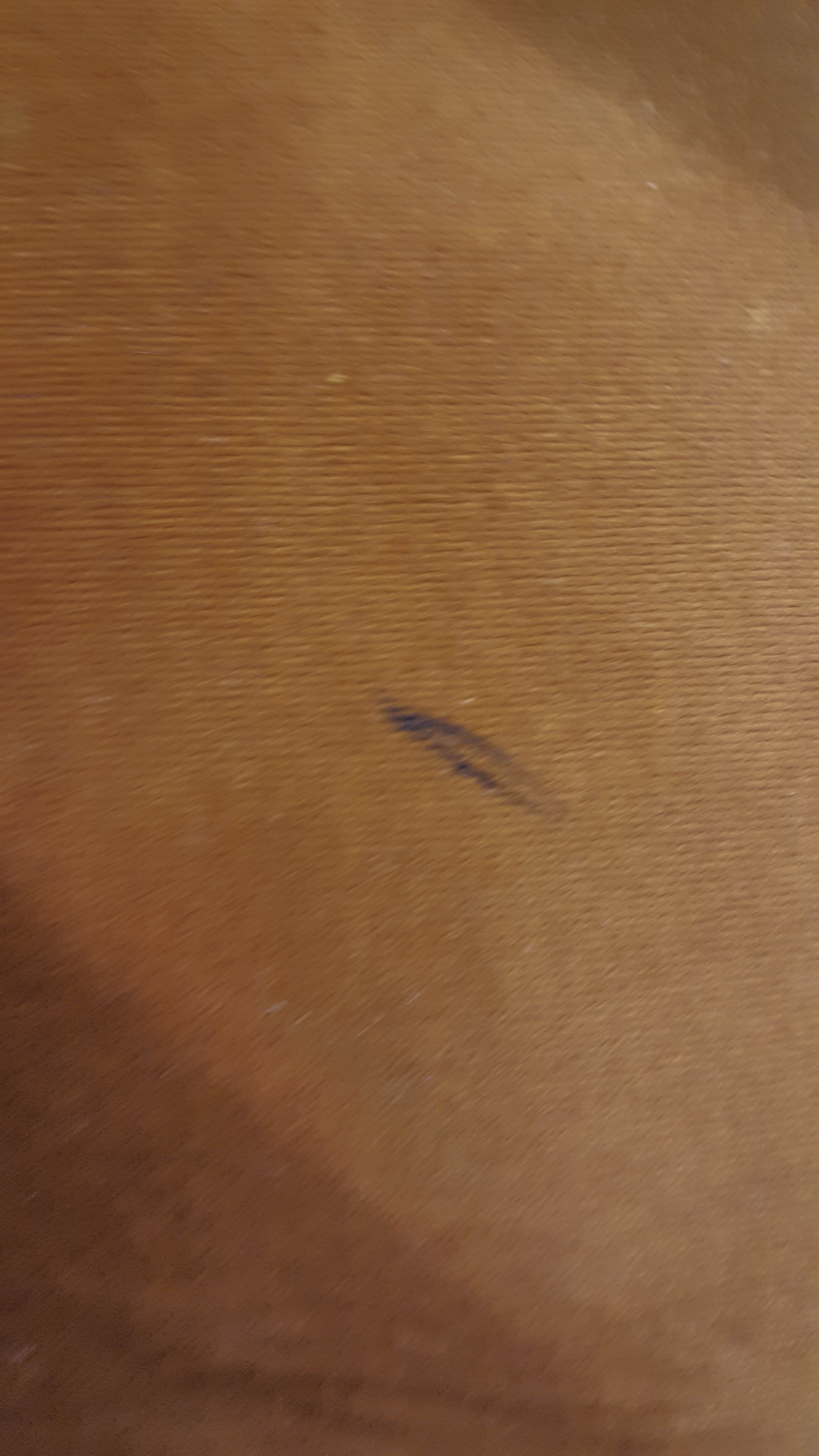 Pair of Brown Velvet Chairs