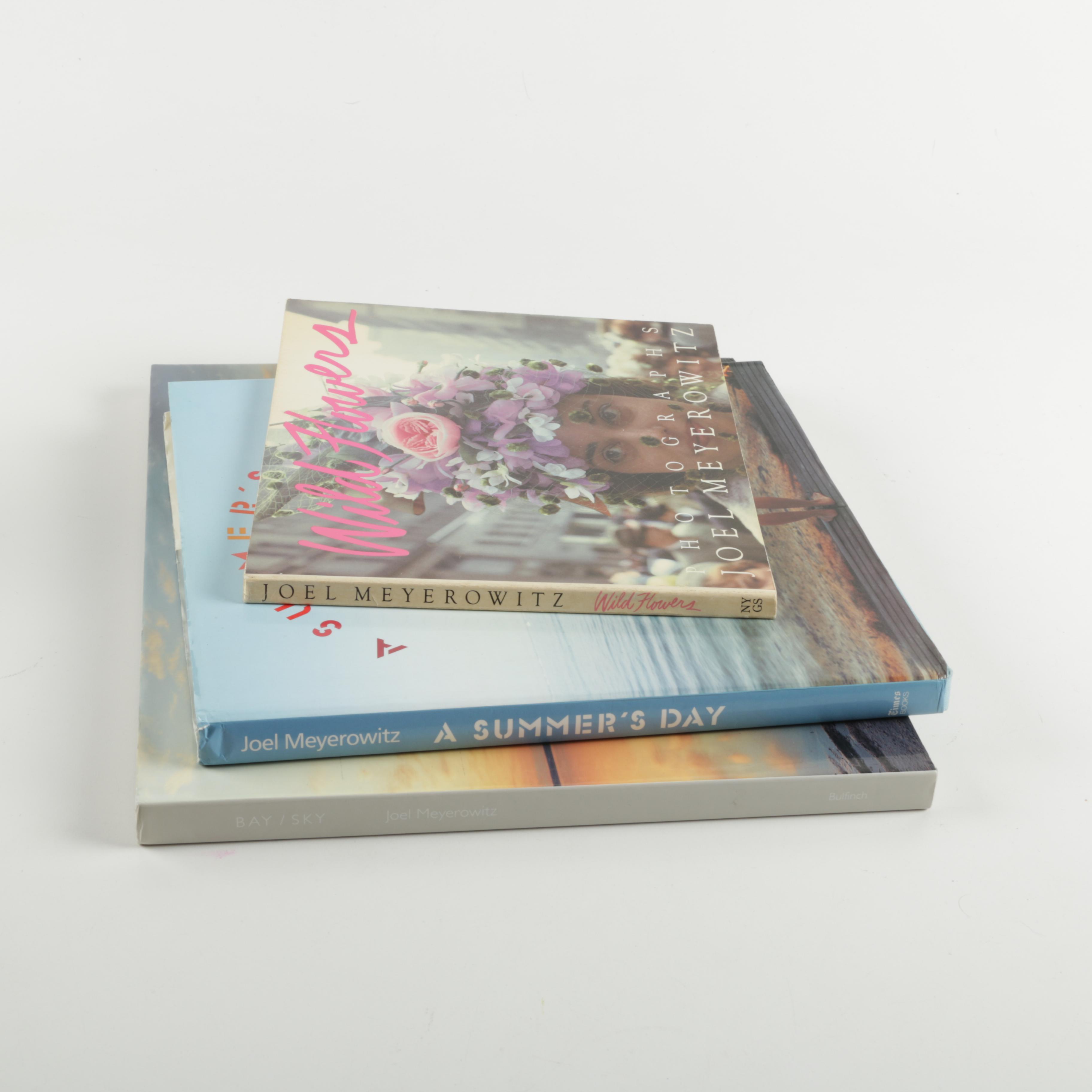 Three Photobooks by Joel Meyerowitz Including a 1st Edition of " Wild Flowers"
