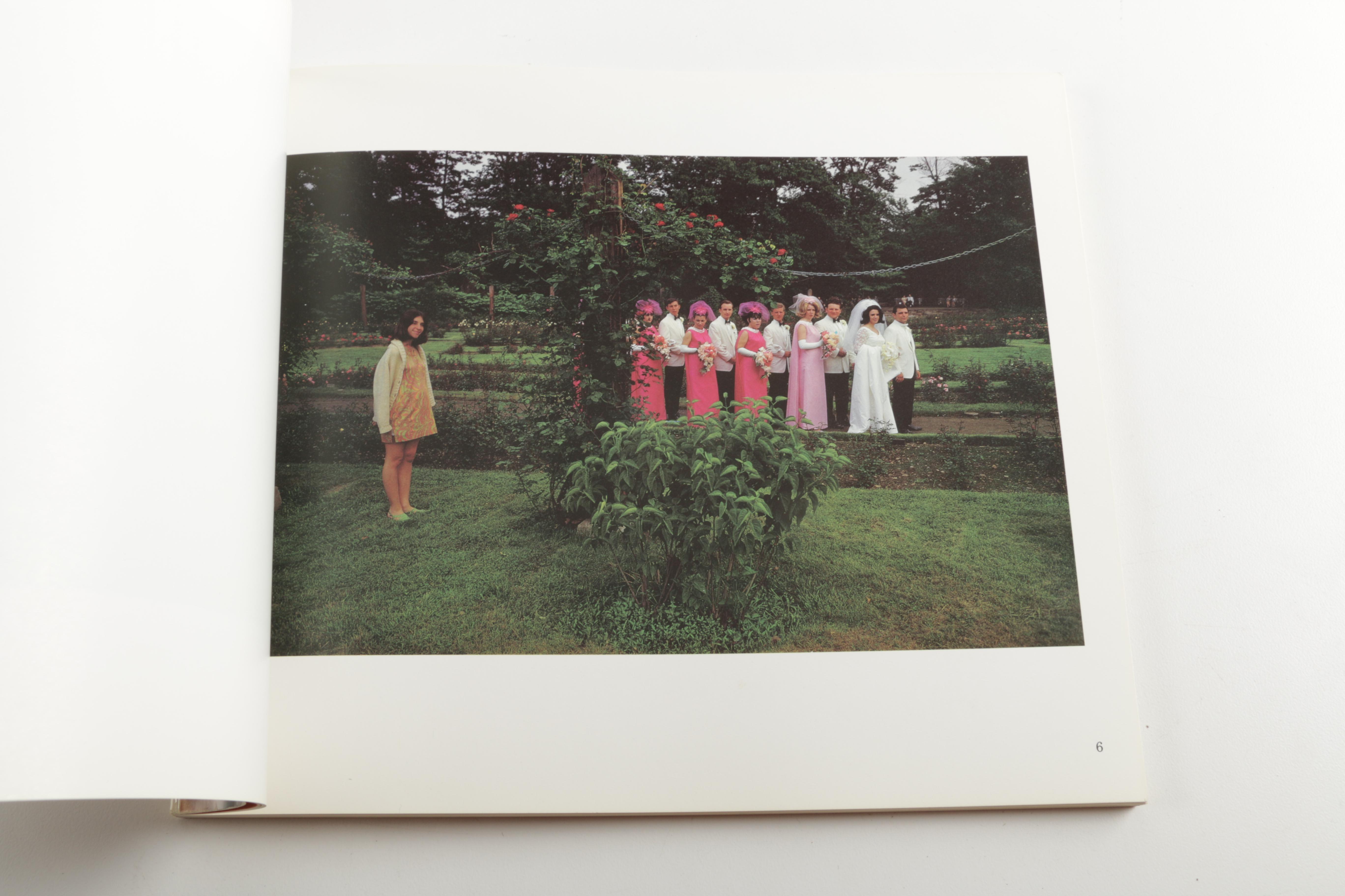 Three Photobooks by Joel Meyerowitz Including a 1st Edition of " Wild Flowers"