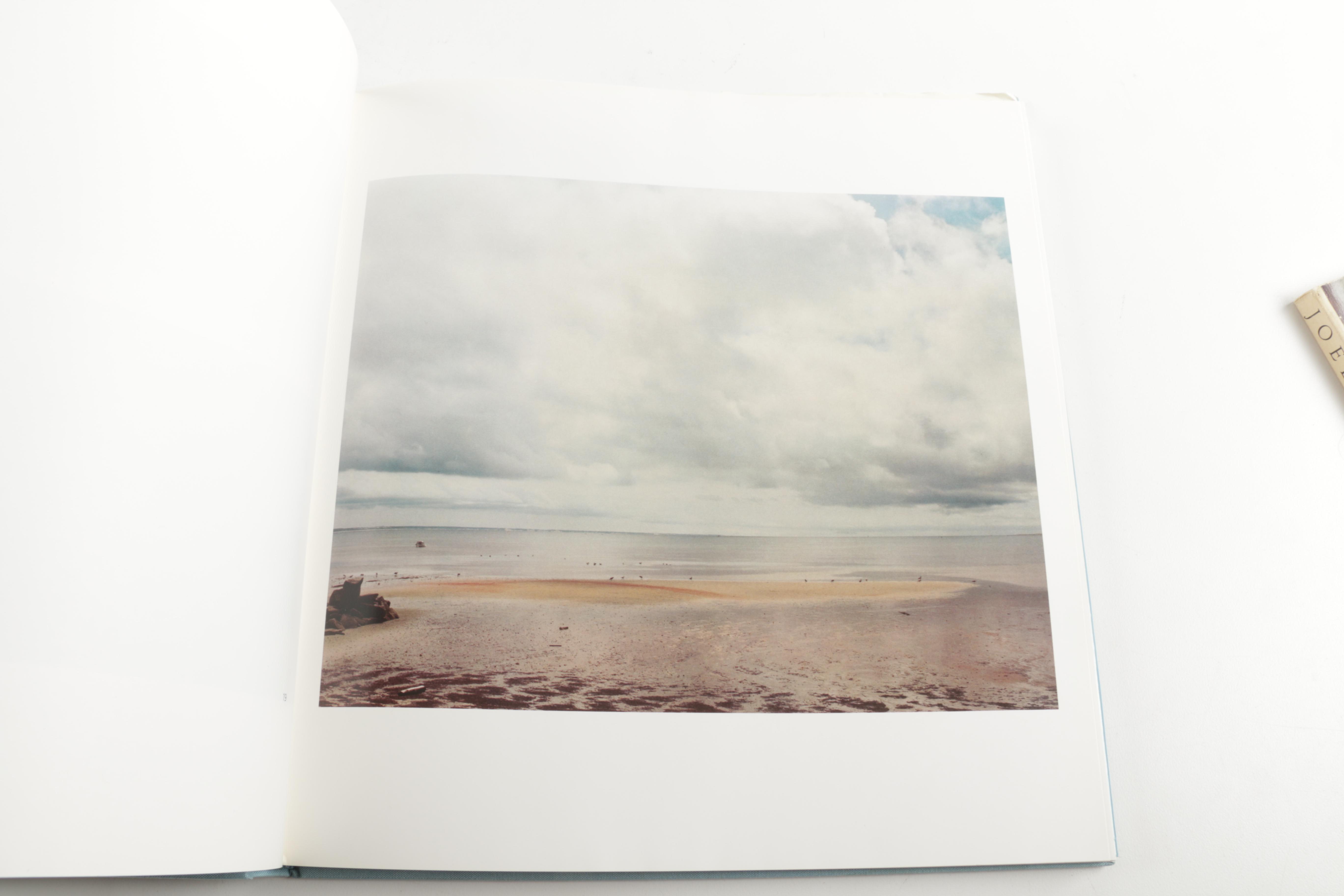 Three Photobooks by Joel Meyerowitz Including a 1st Edition of " Wild Flowers"