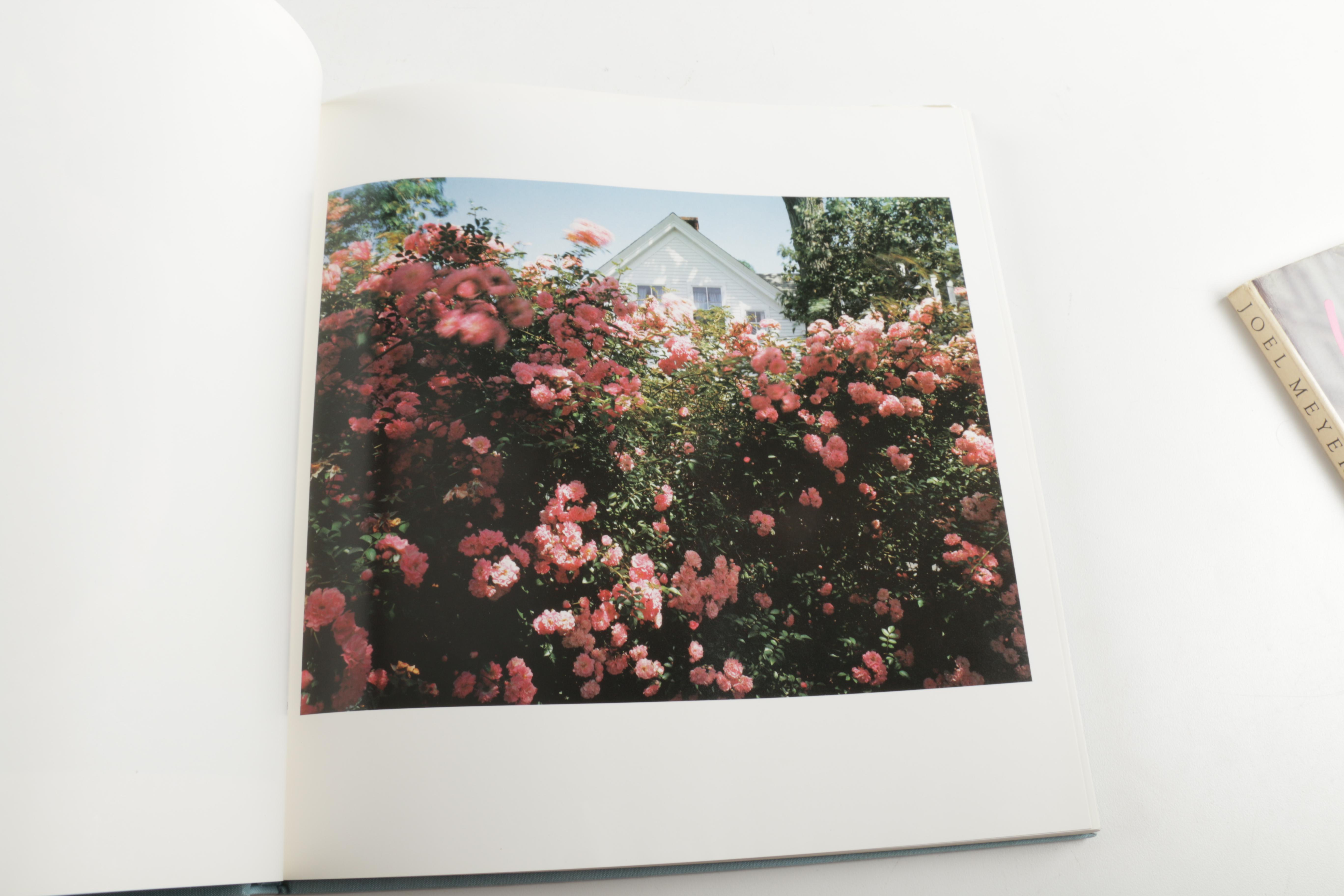 Three Photobooks by Joel Meyerowitz Including a 1st Edition of " Wild Flowers"