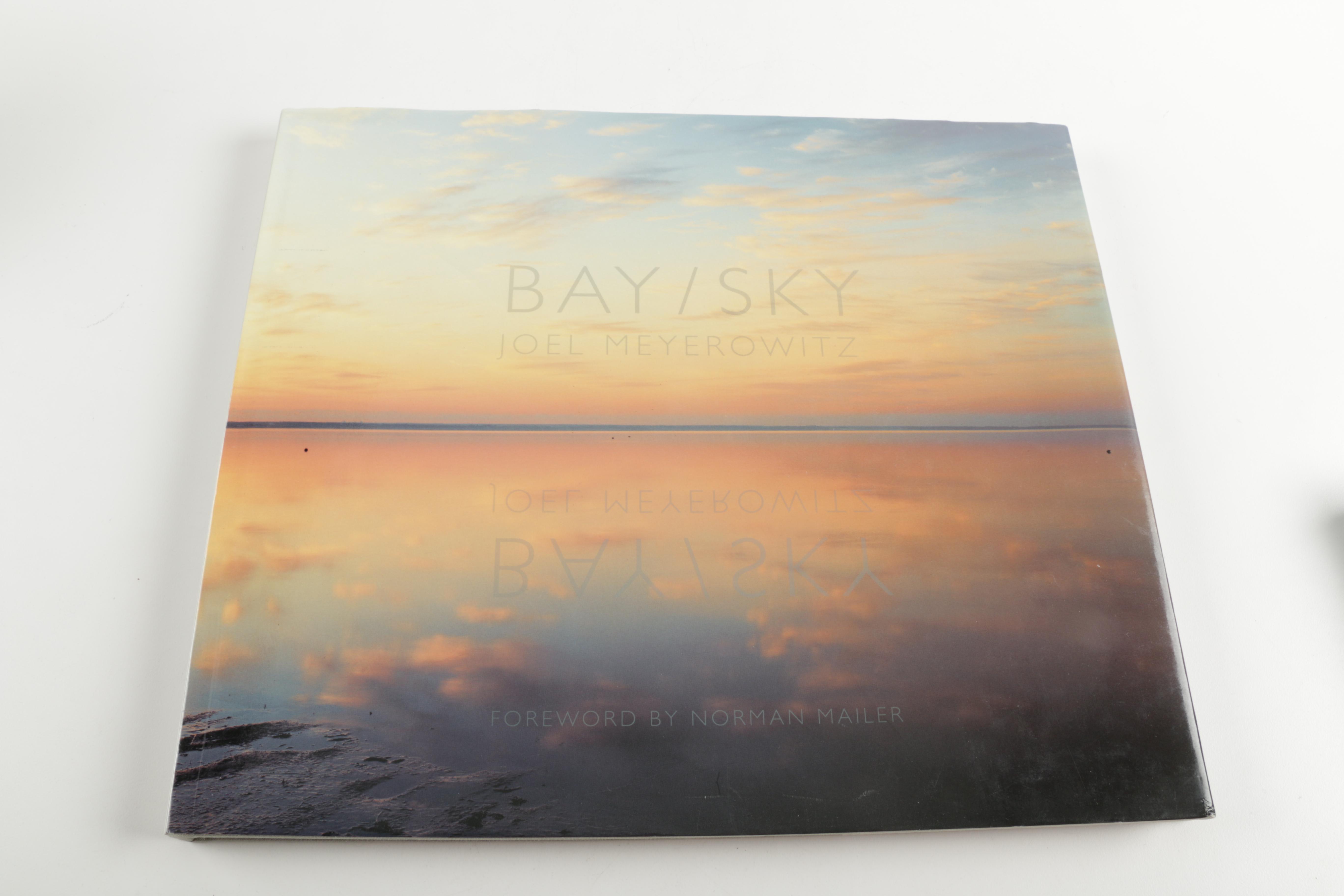 Three Photobooks by Joel Meyerowitz Including a 1st Edition of " Wild Flowers"