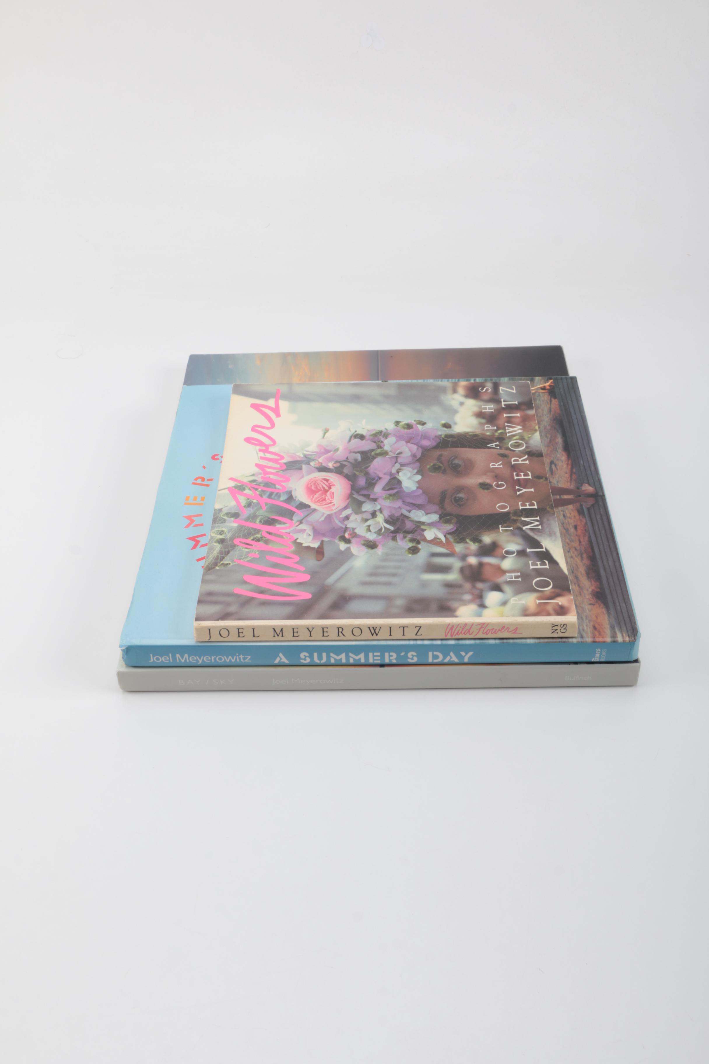 Three Photobooks by Joel Meyerowitz Including a 1st Edition of " Wild Flowers"