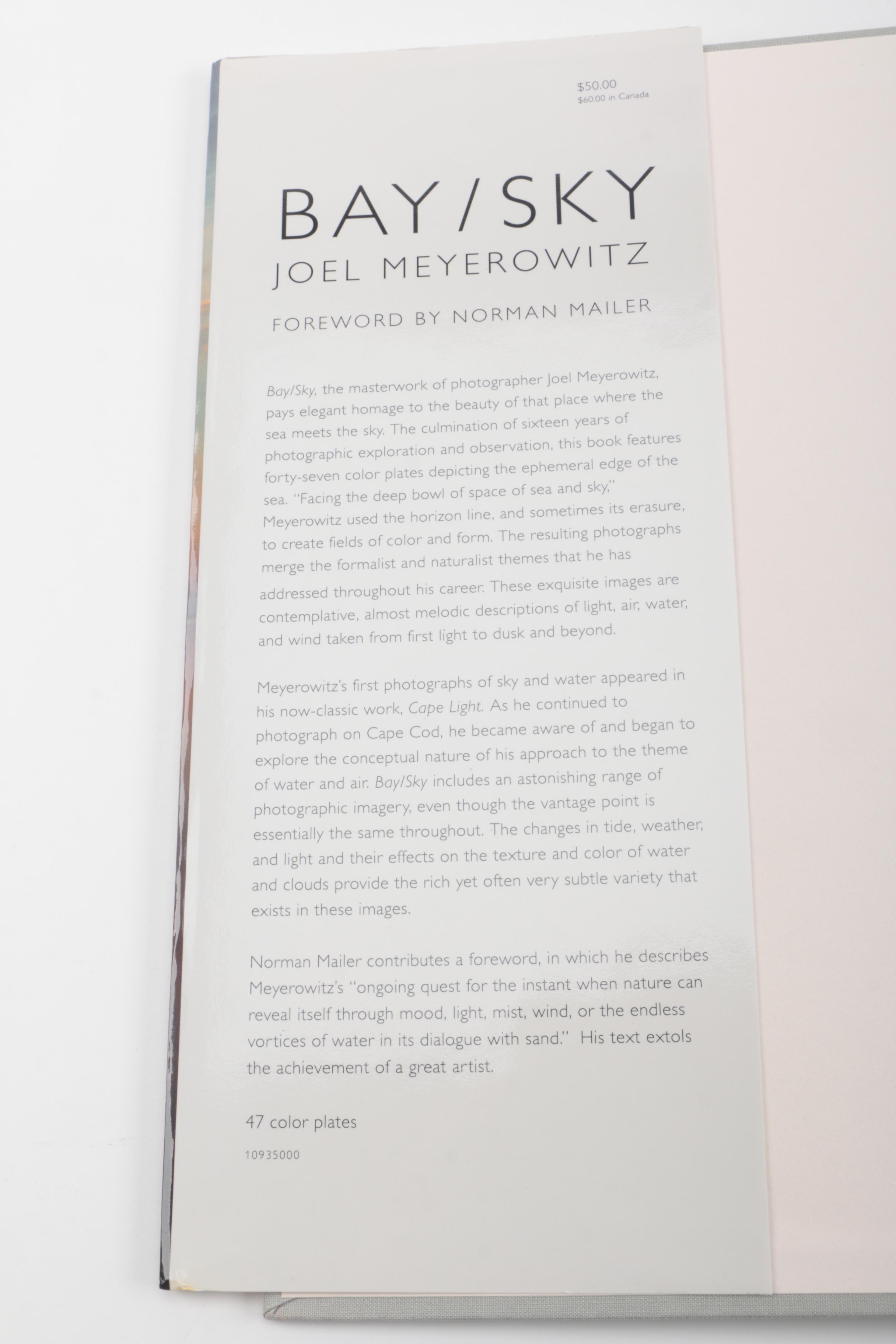 Three Photobooks by Joel Meyerowitz Including a 1st Edition of " Wild Flowers"