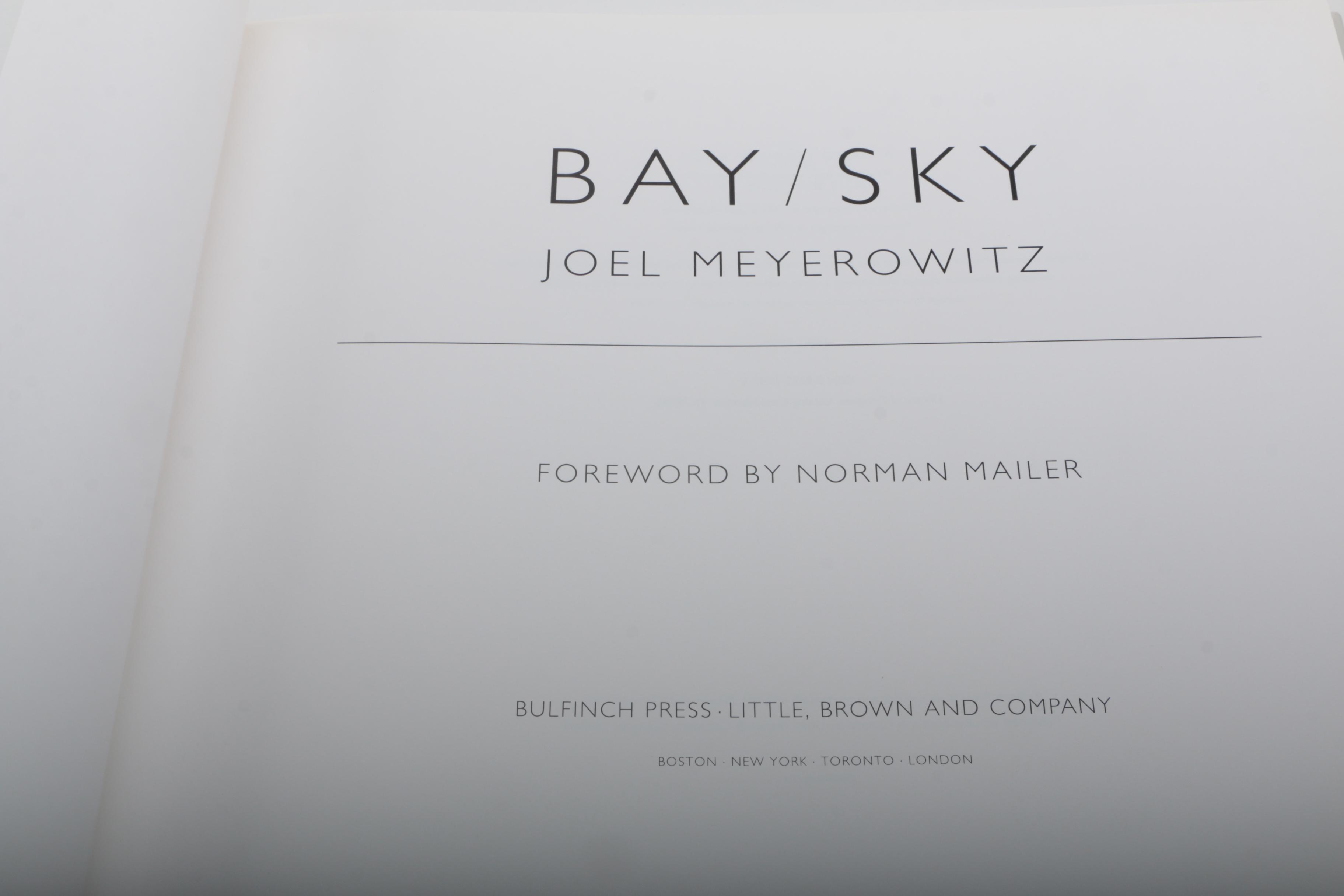 Three Photobooks by Joel Meyerowitz Including a 1st Edition of " Wild Flowers"