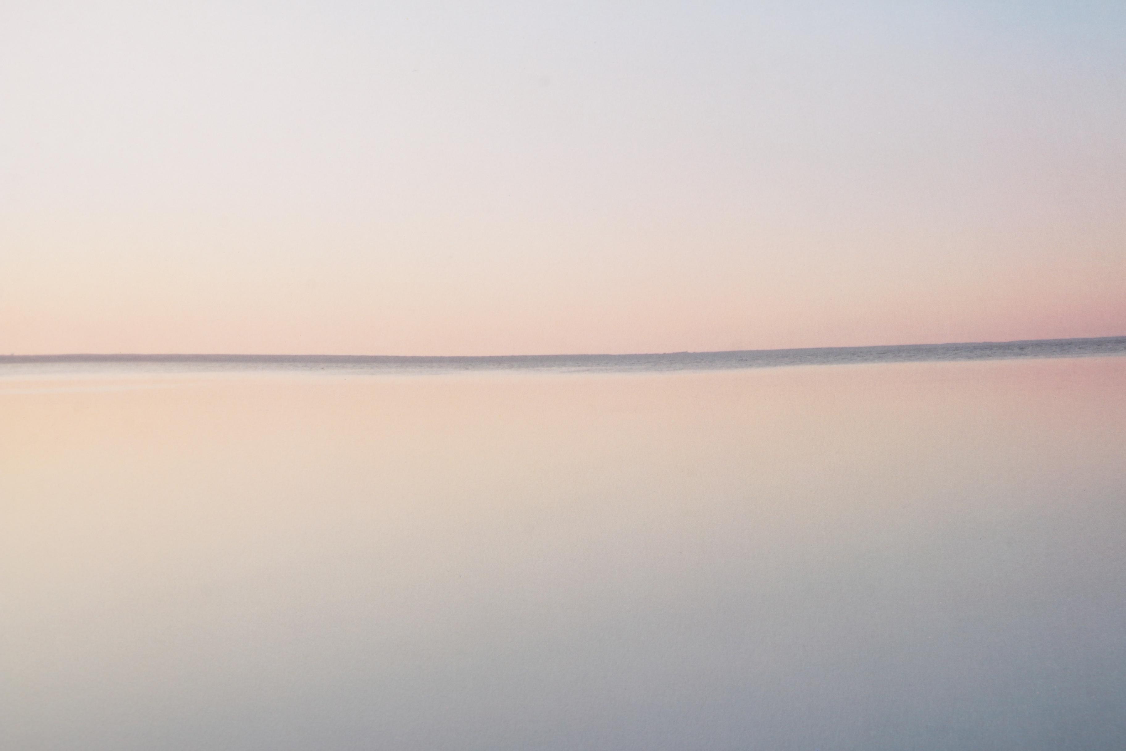 Three Photobooks by Joel Meyerowitz Including a 1st Edition of " Wild Flowers"