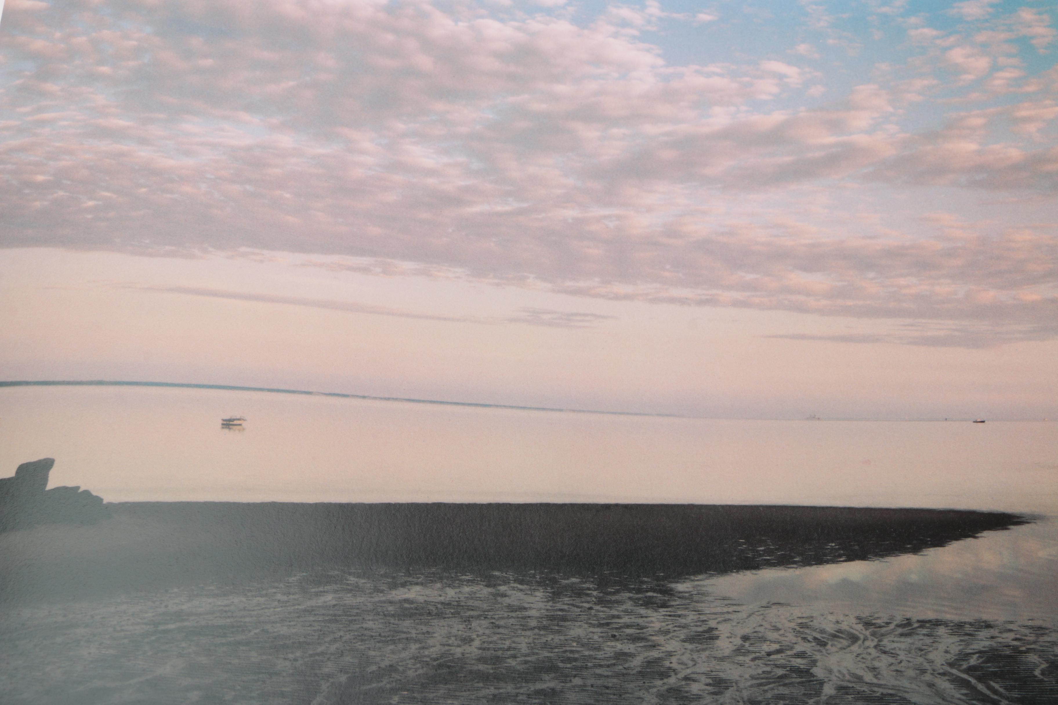 Three Photobooks by Joel Meyerowitz Including a 1st Edition of " Wild Flowers"