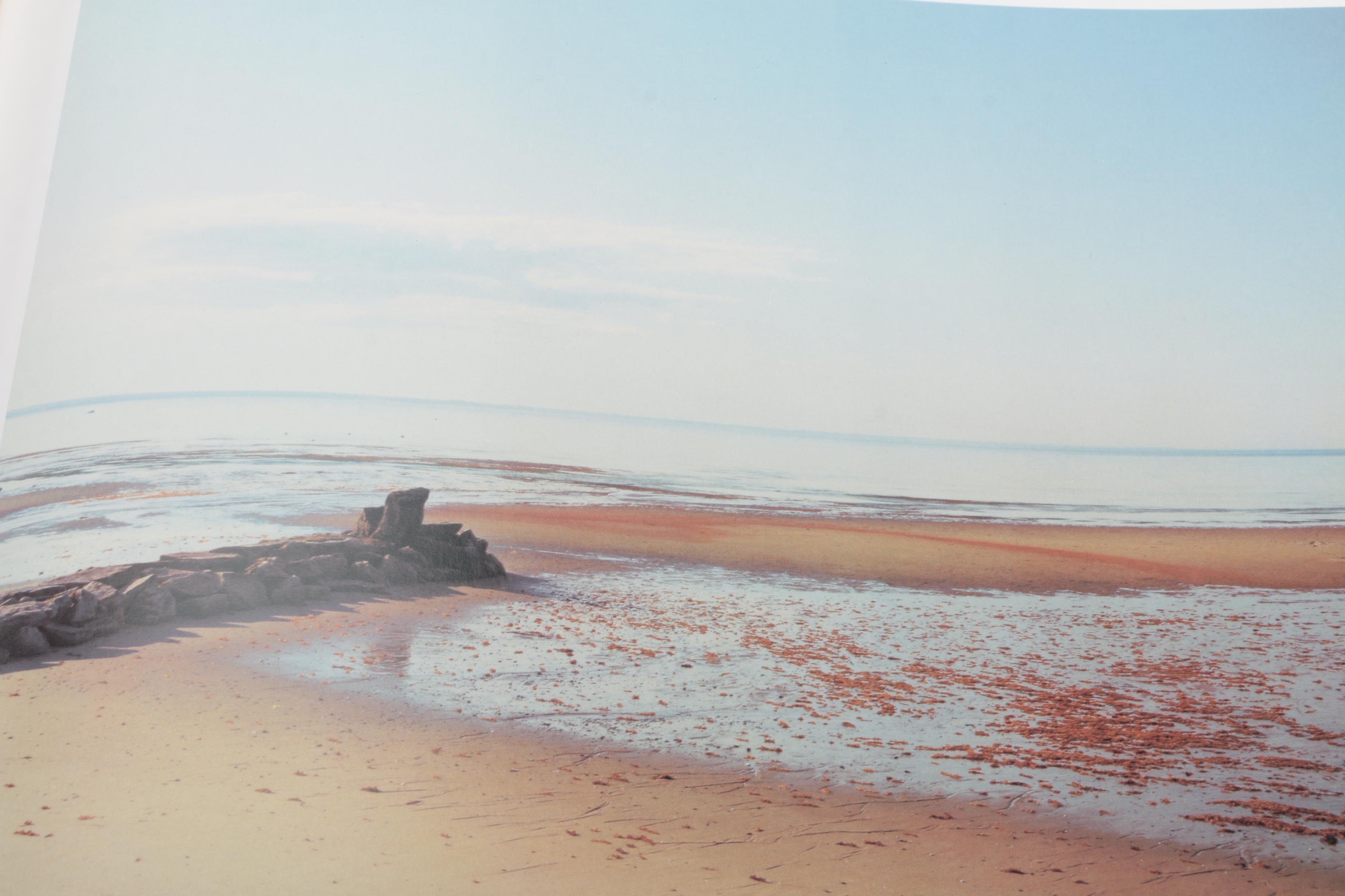 Three Photobooks by Joel Meyerowitz Including a 1st Edition of " Wild Flowers"
